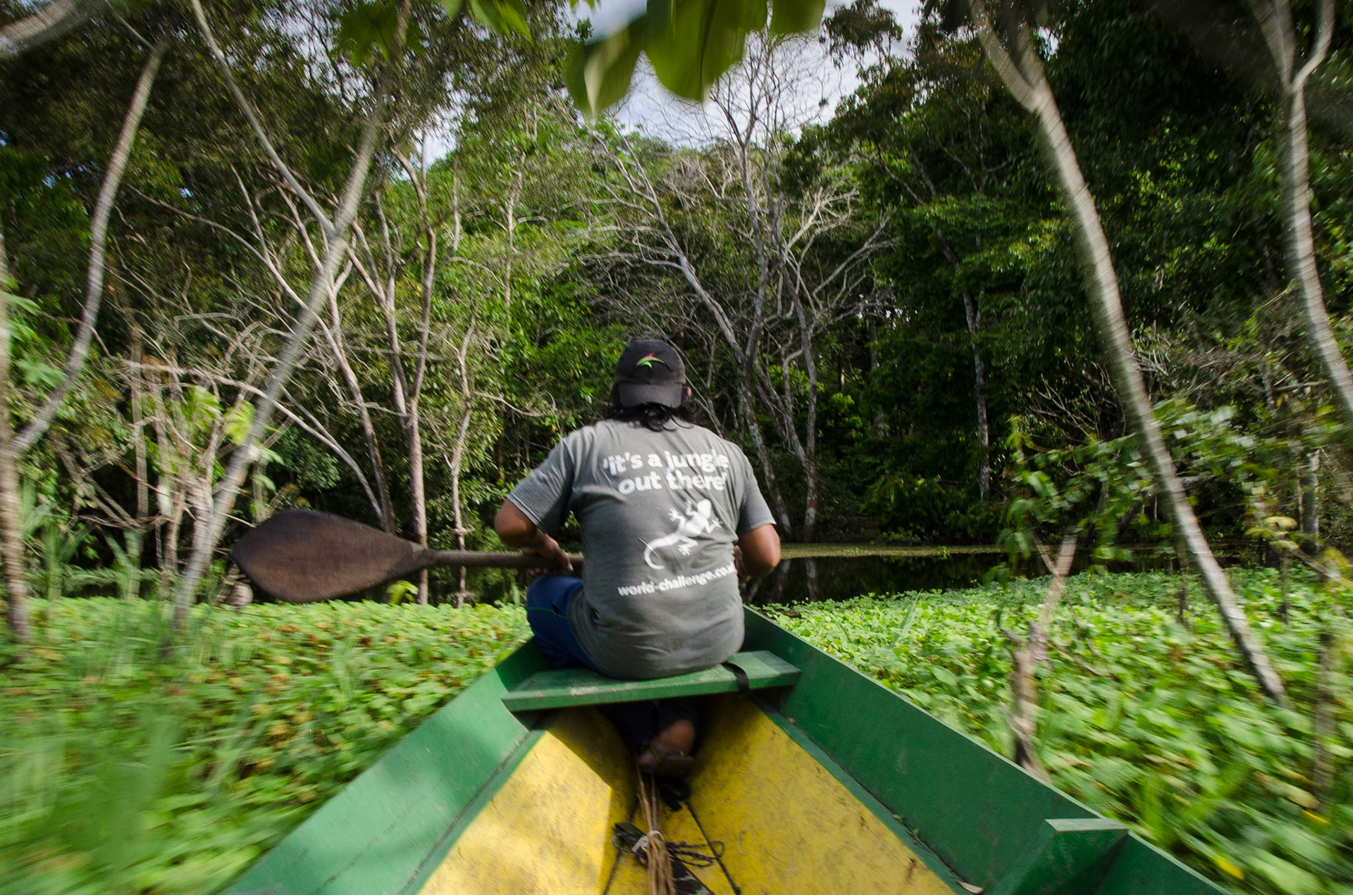 Jungle Canoe Tour, Amazon River, Brazil