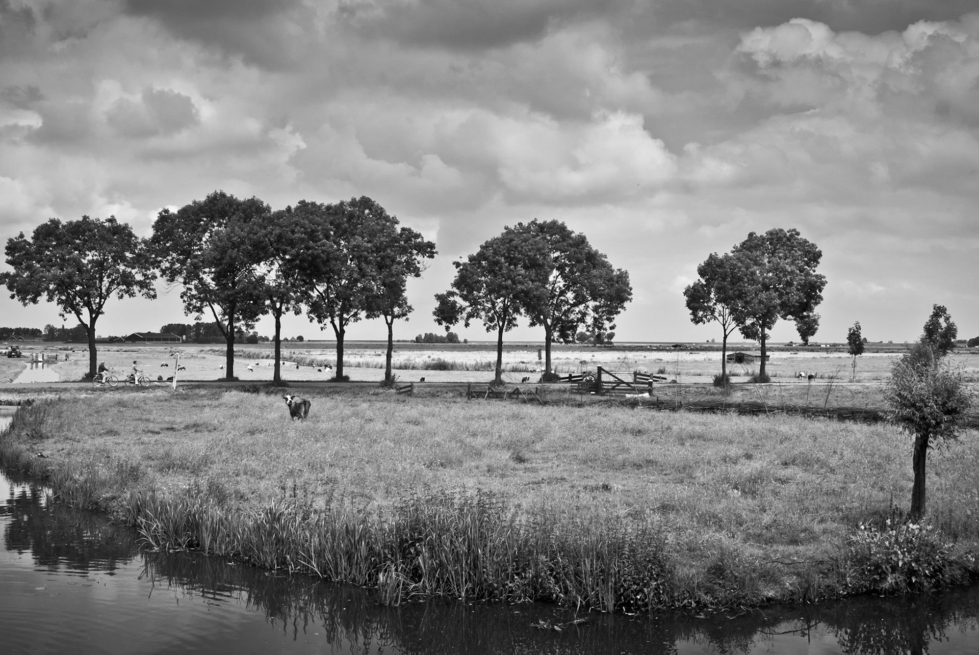 Countryside outside of Amsterdam.