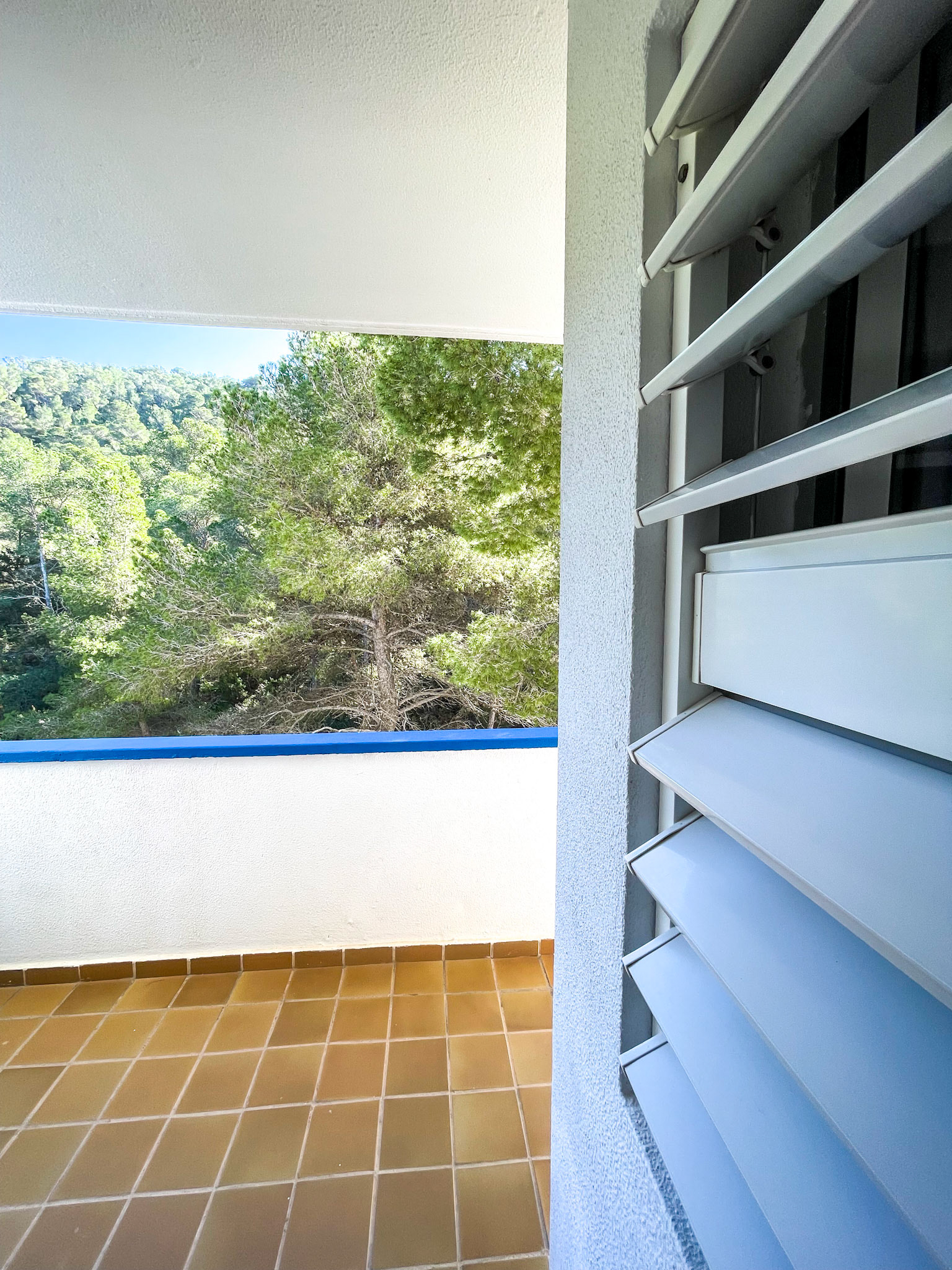 Mi Casa
