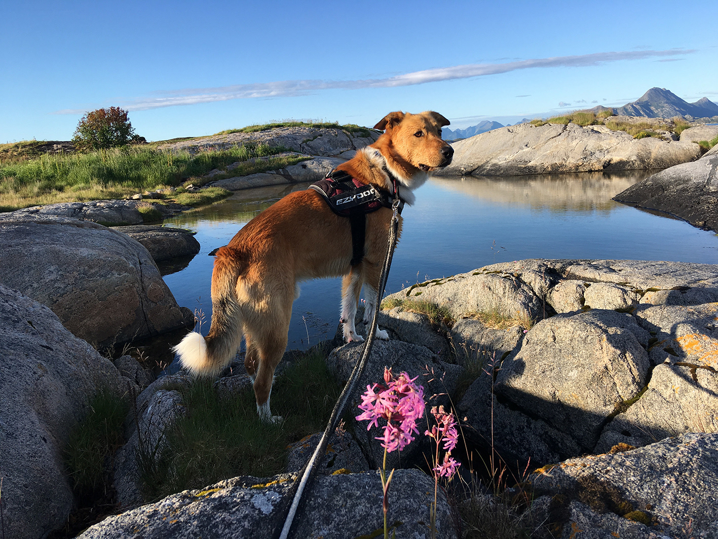 Fint turområde – husk å plukke opp etterlatenheter!