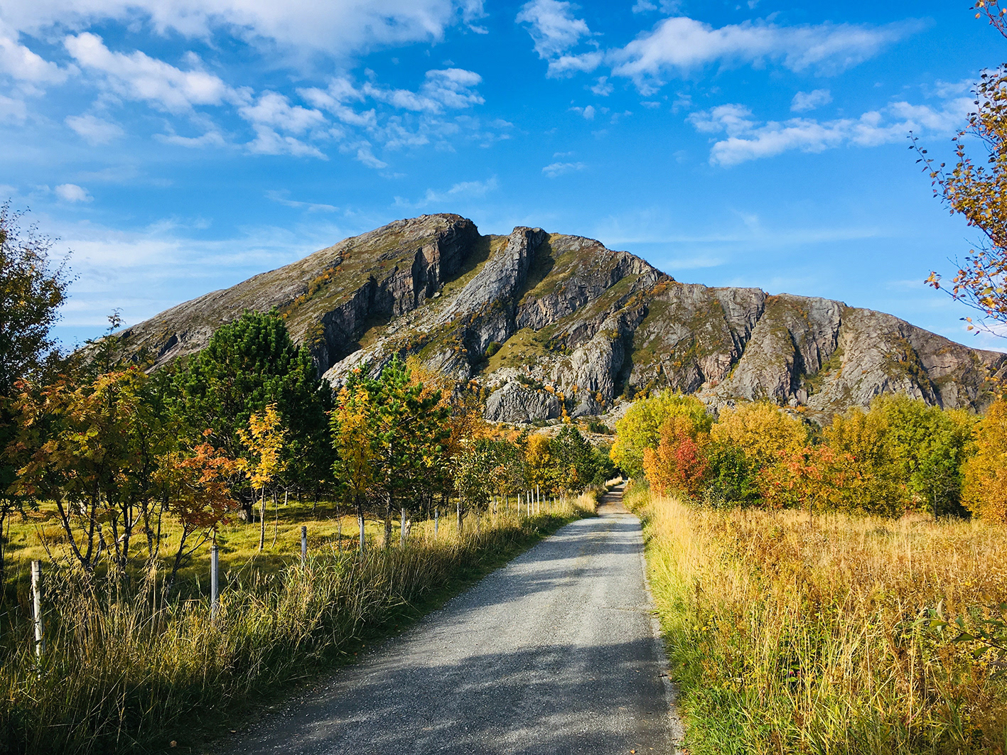 Fargerike idylliske Bolga