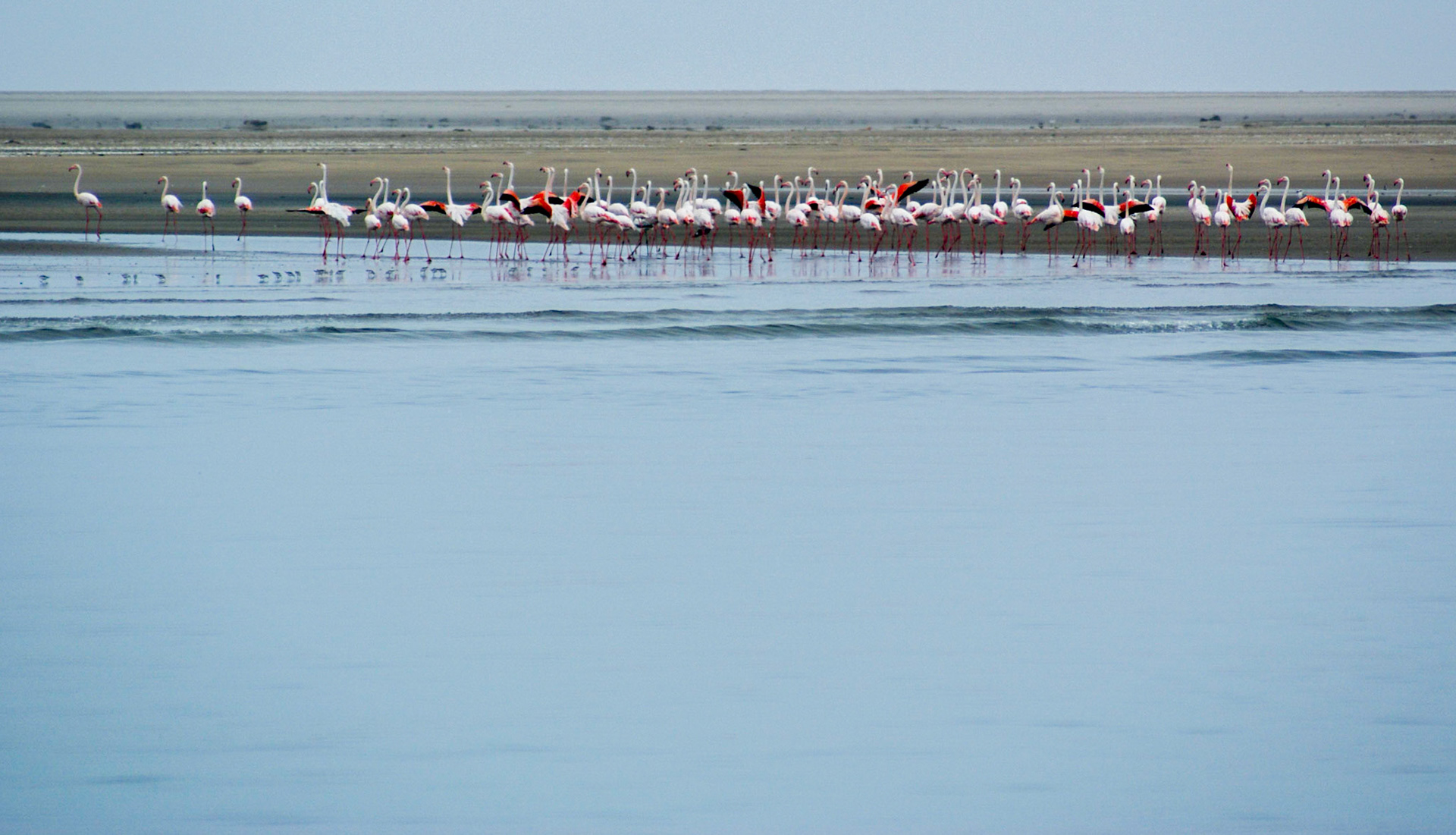 2006: Namibia