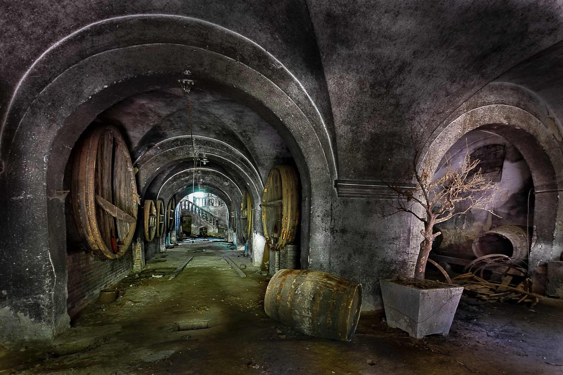 La cave de l’oranger