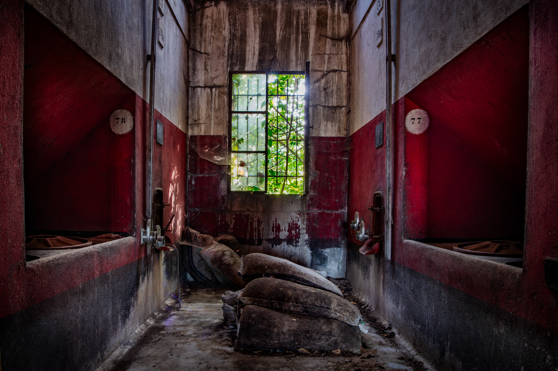 Cave rouge