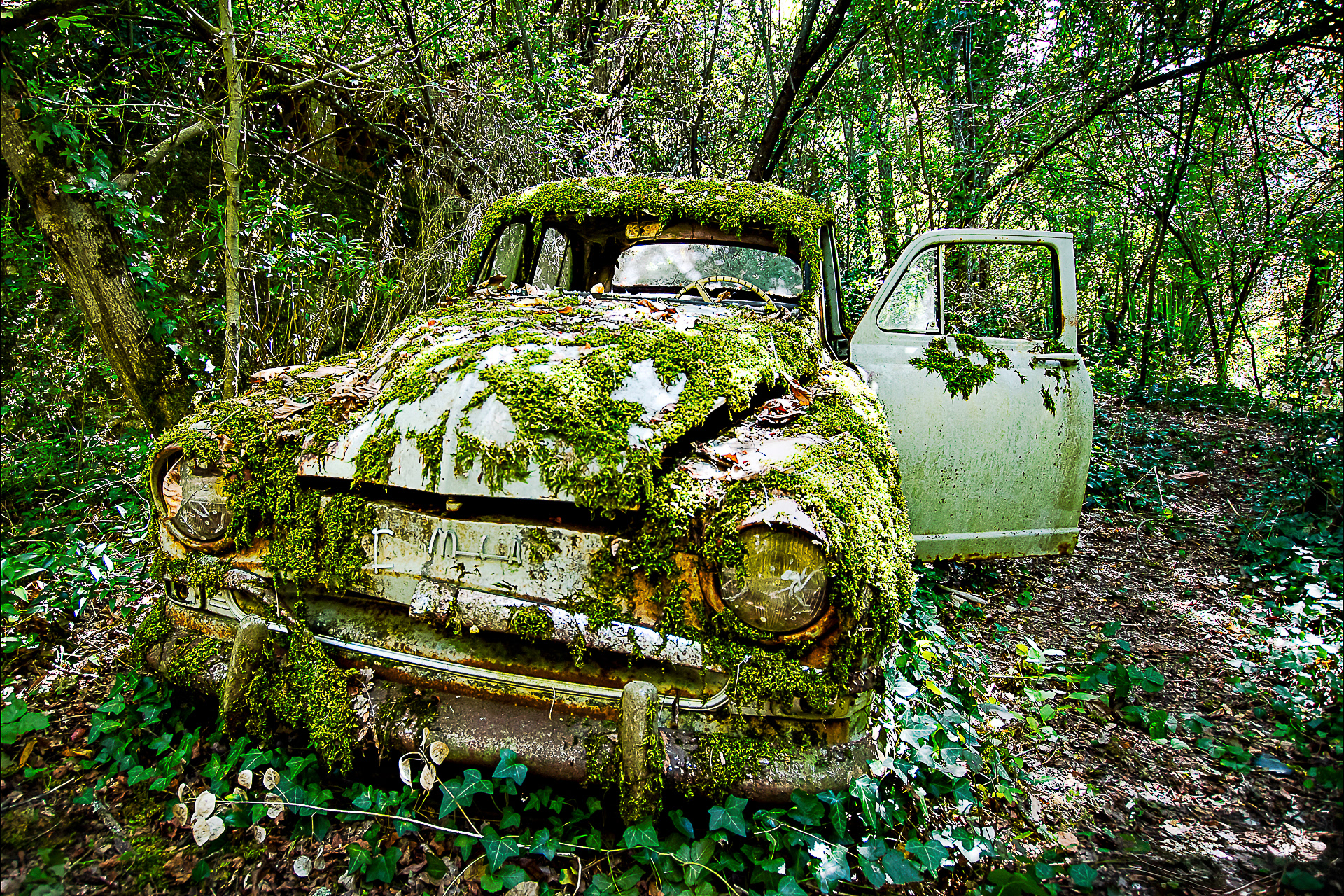 L’aronde en mousse