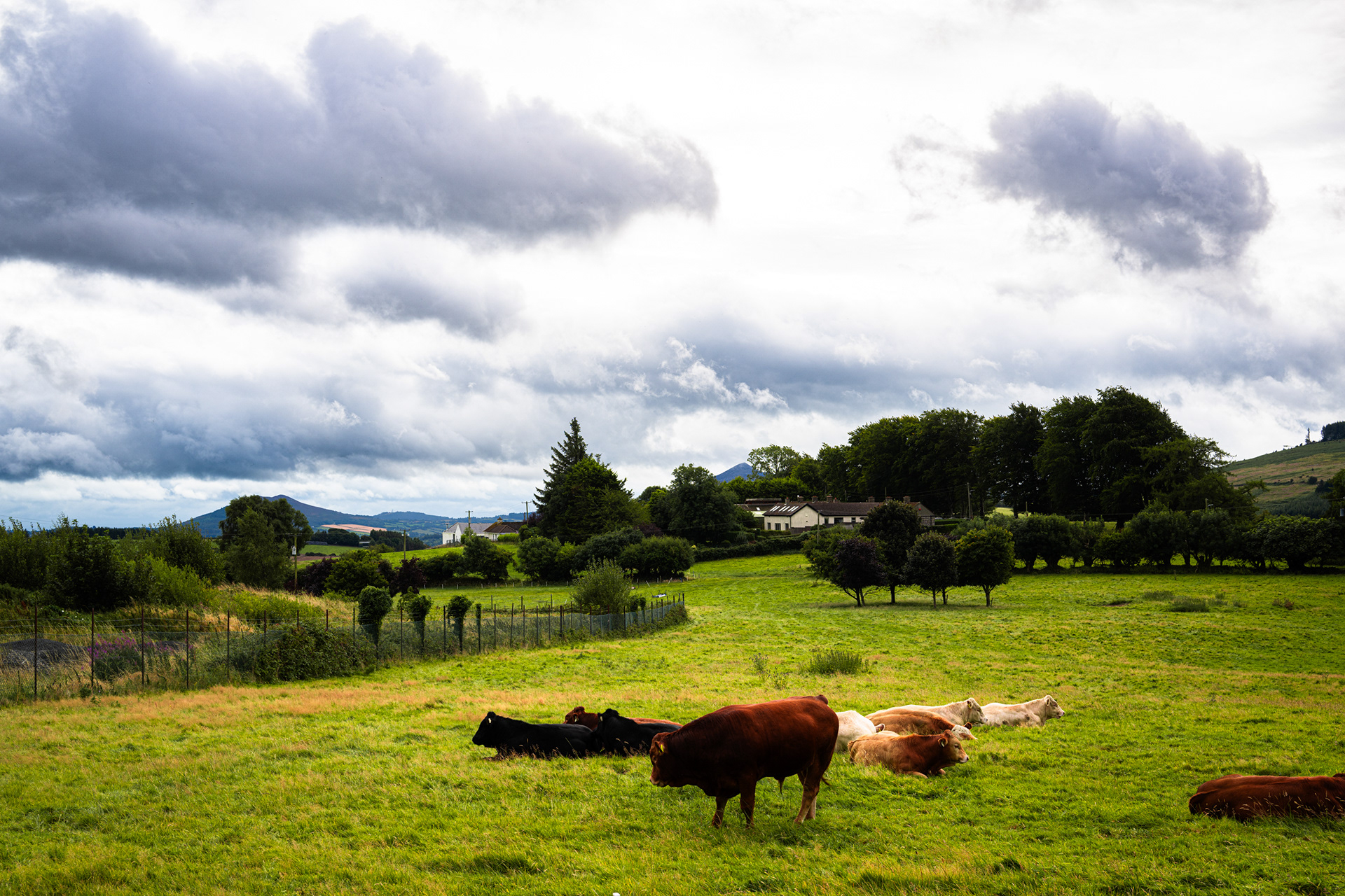 Johnnie Fox's Pub - Outside