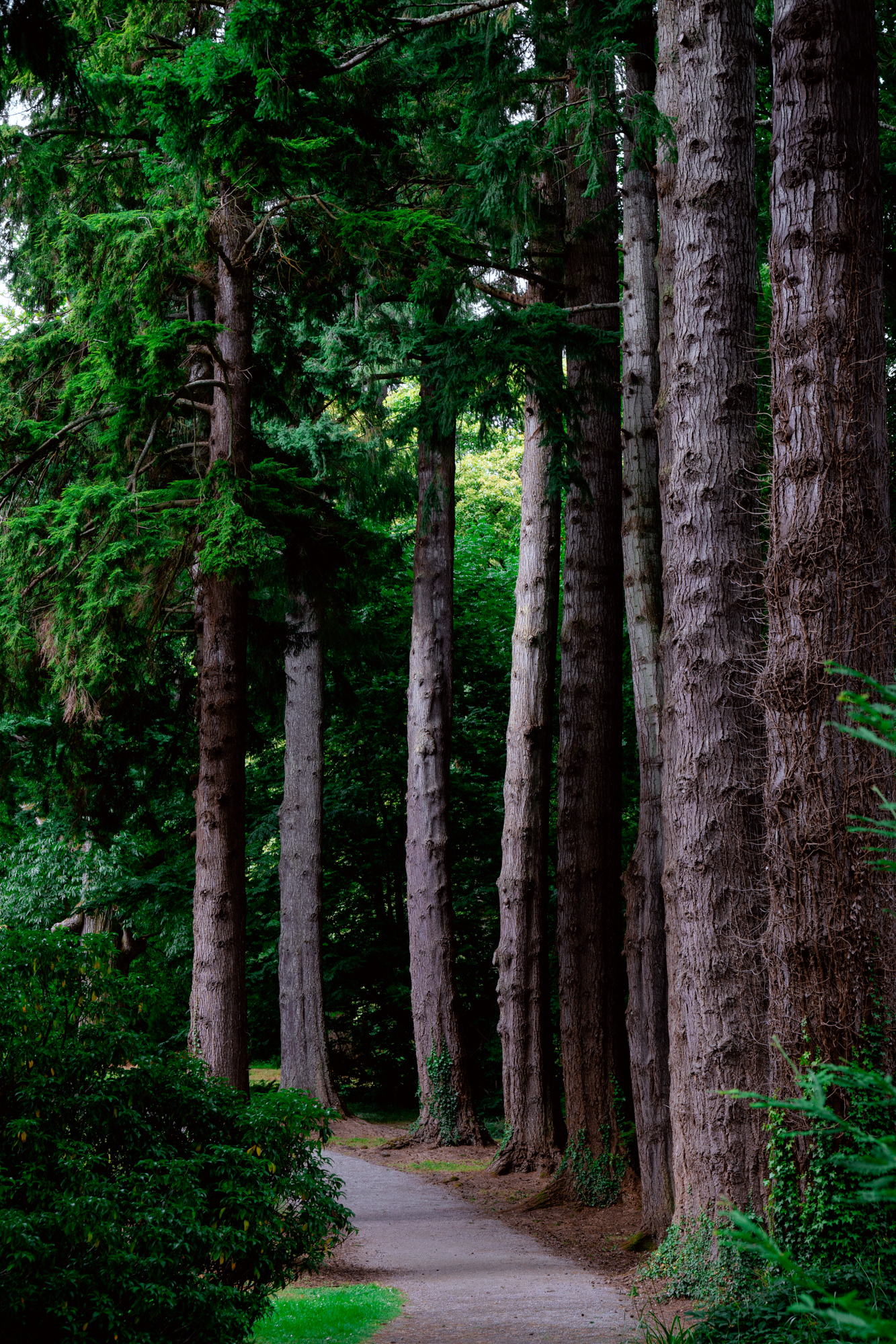 Powerscourt Estate, House & Gardens