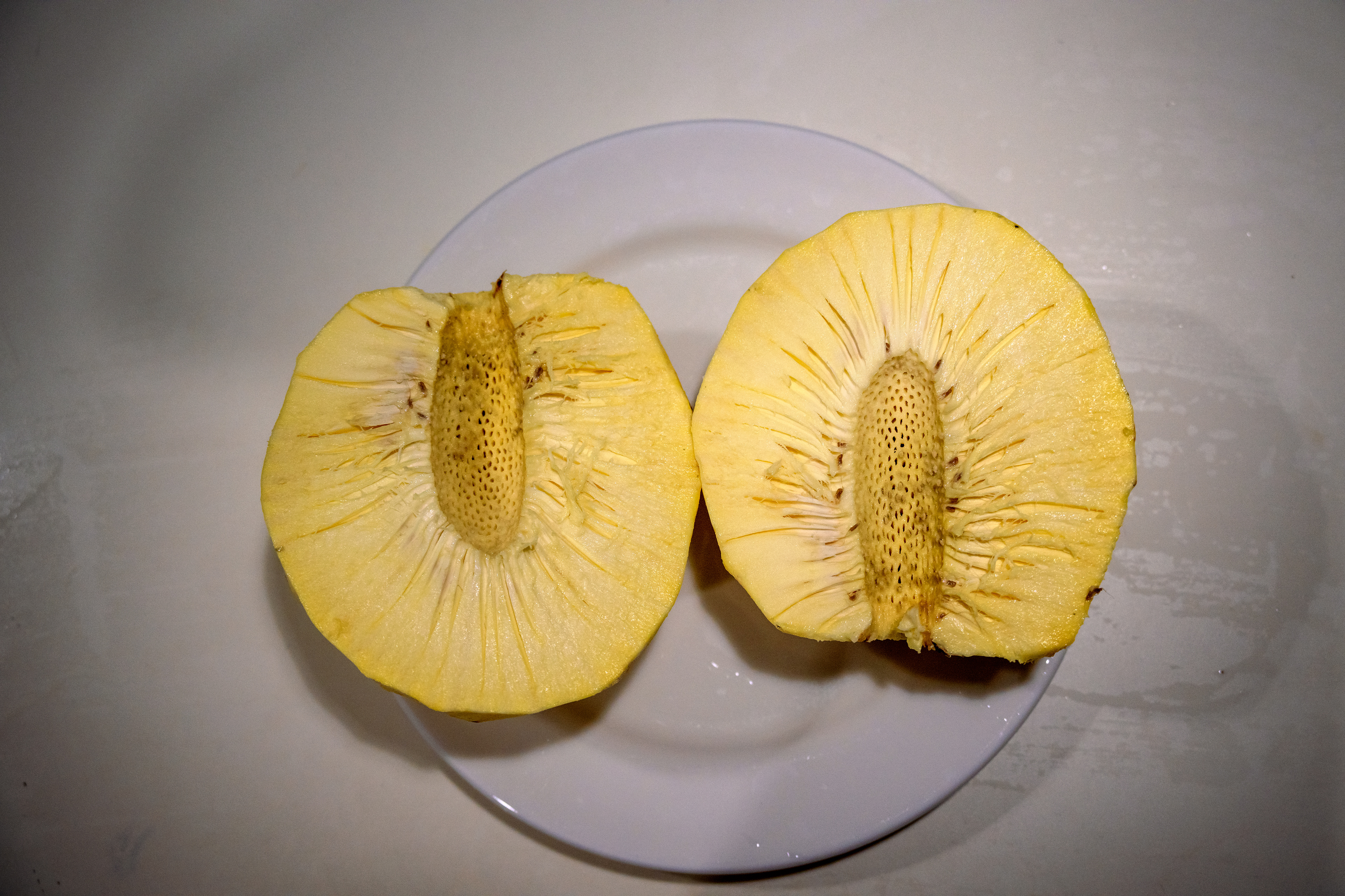 Inside Bread Fruit