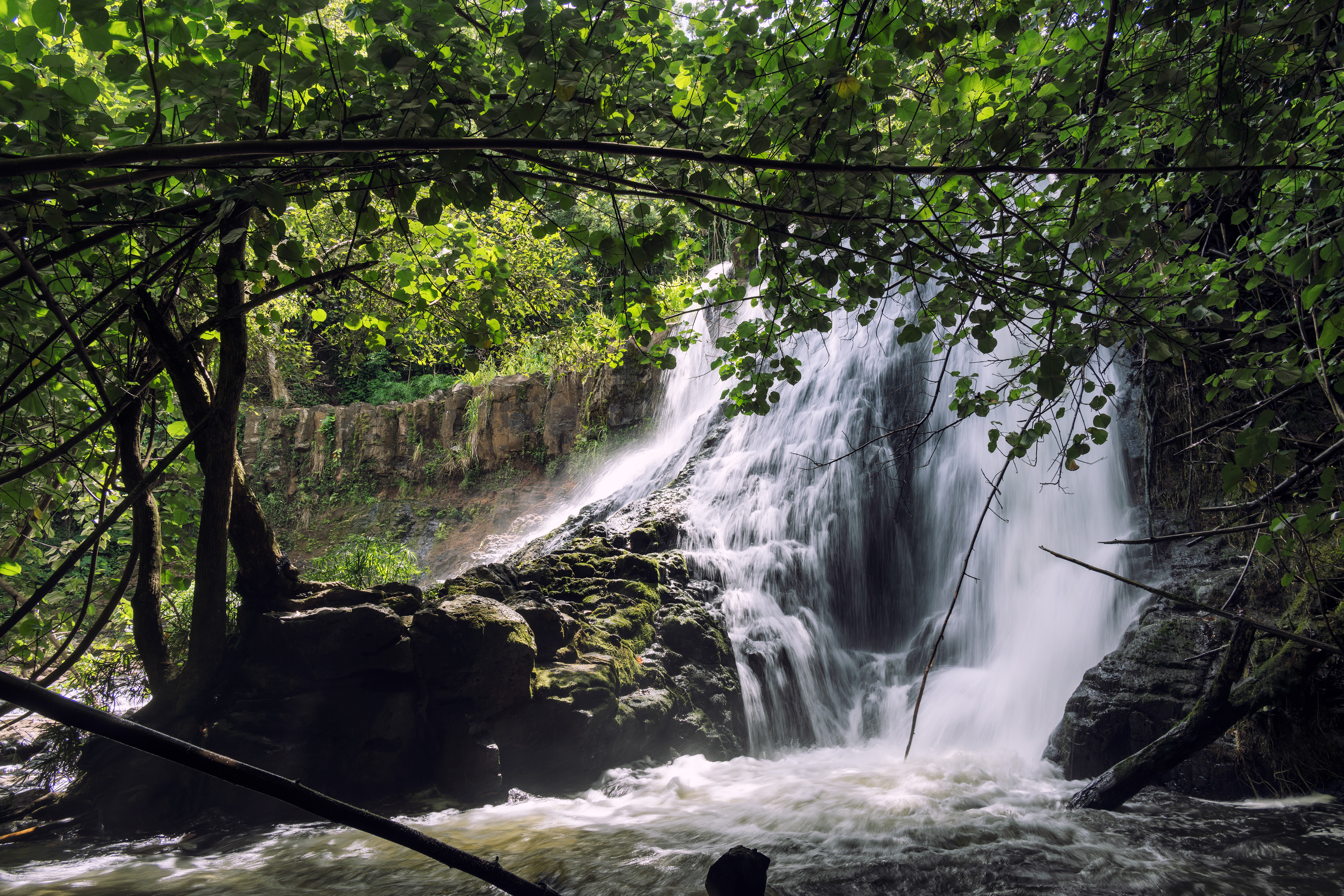 Lower Hoopii Falls