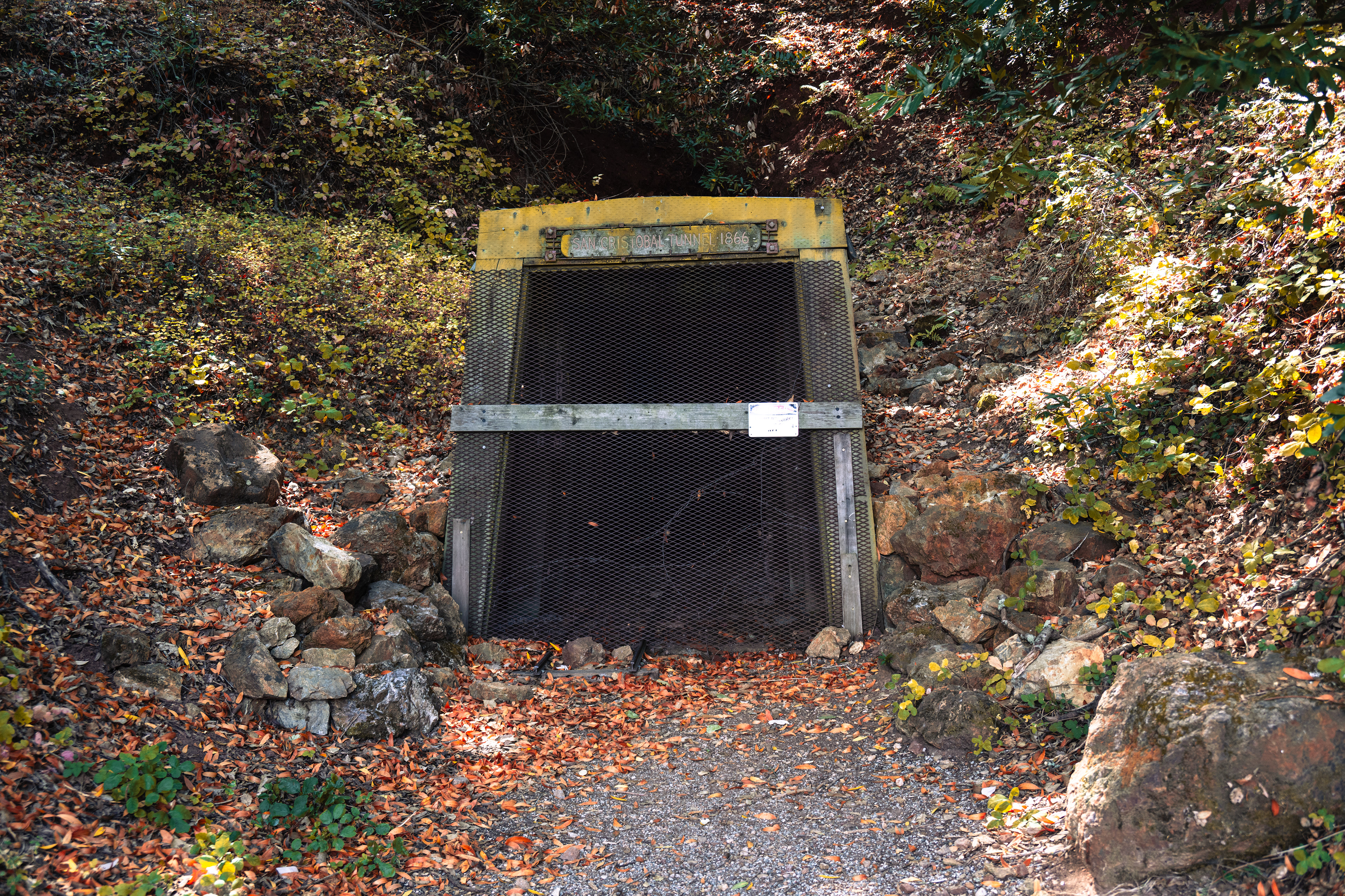 Catherine Tunnel