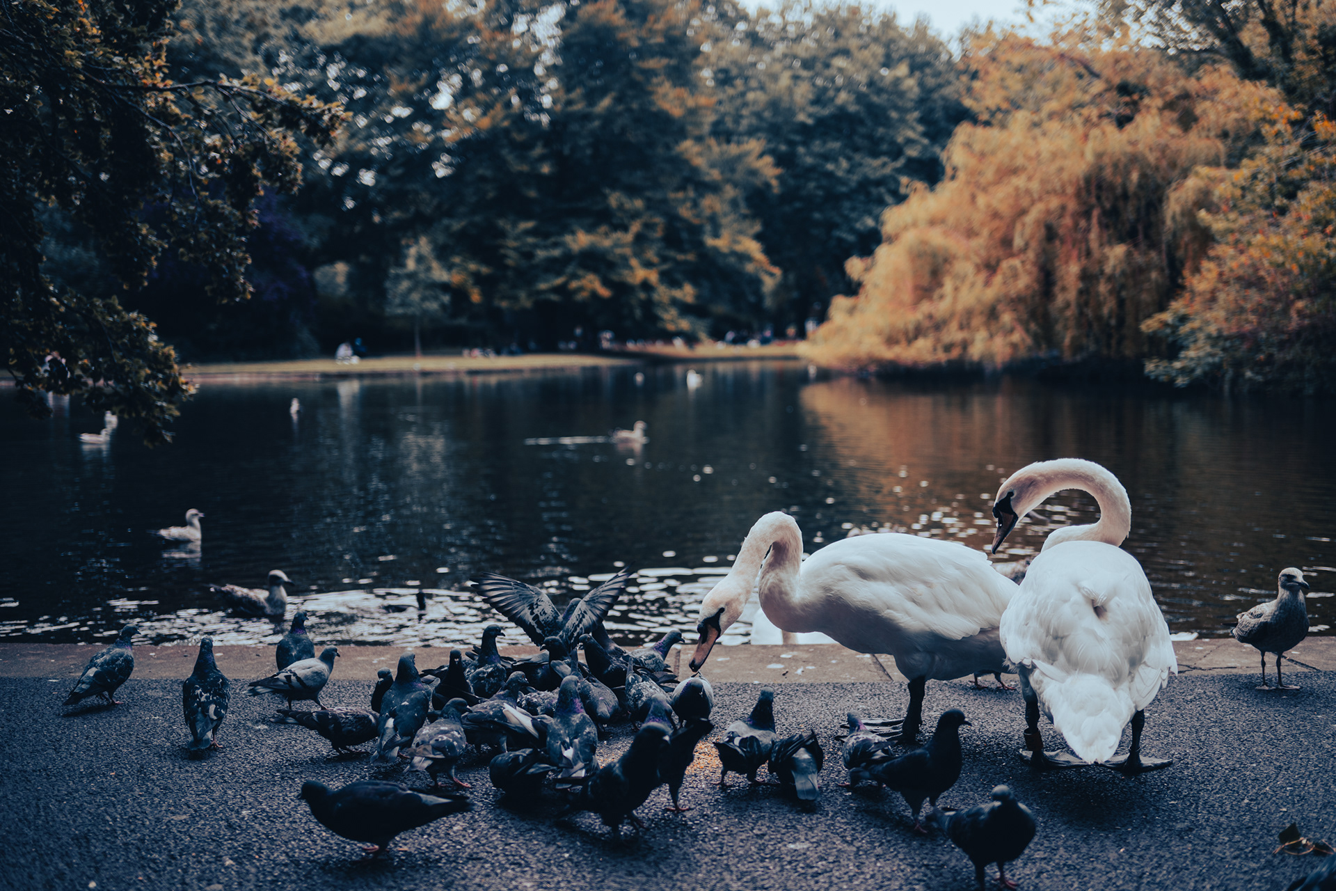 Dublin City Walk - St Stephen's Green