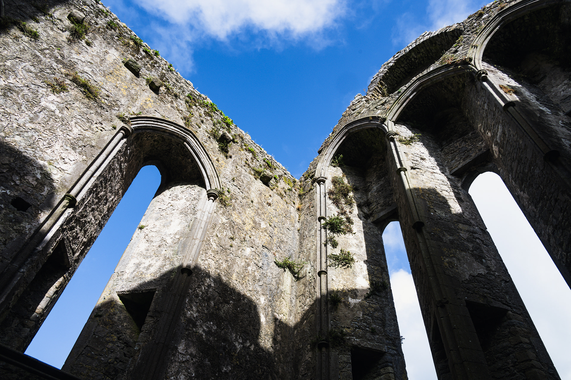 Rock of Cashel
