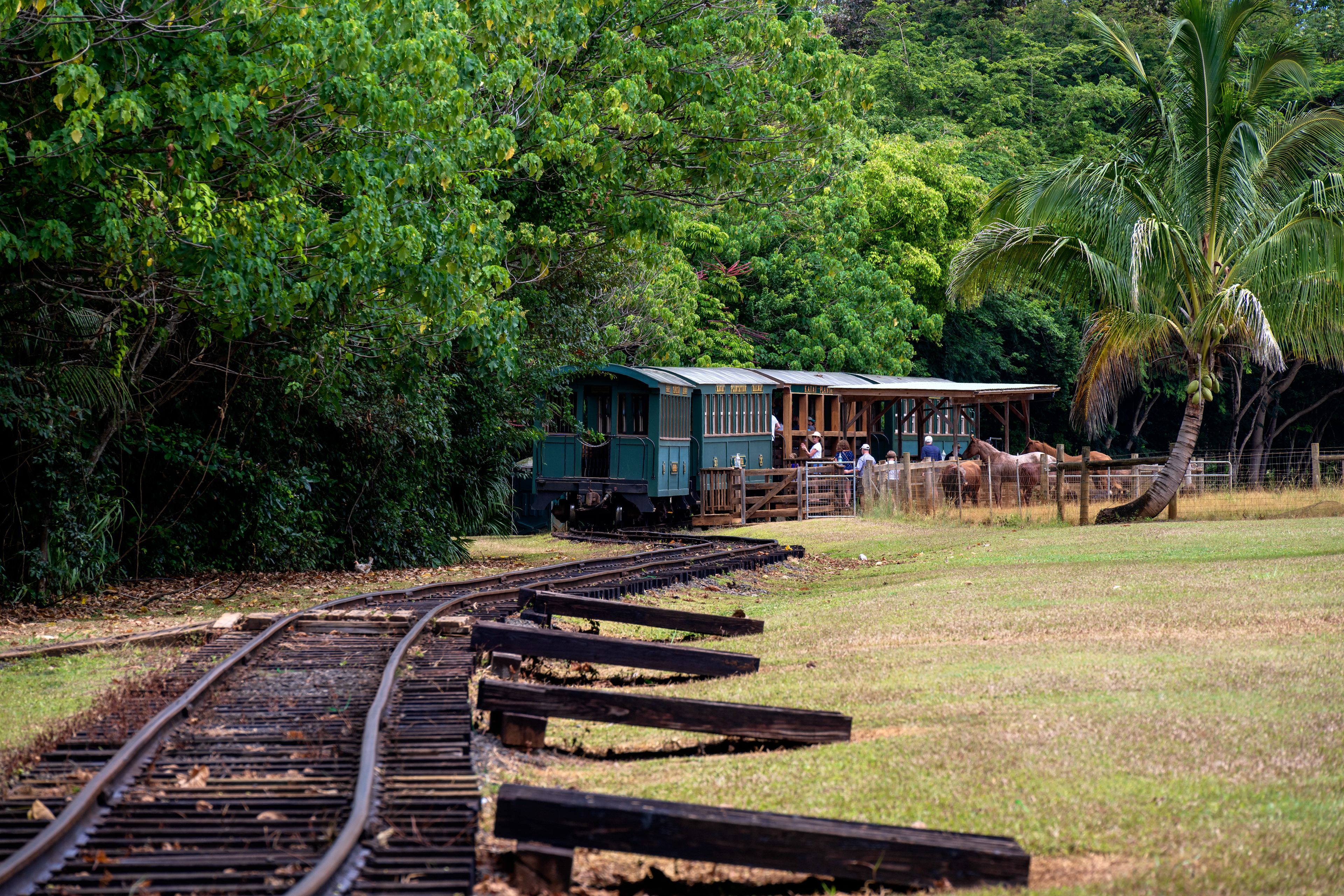 Kauai Plantation Railway