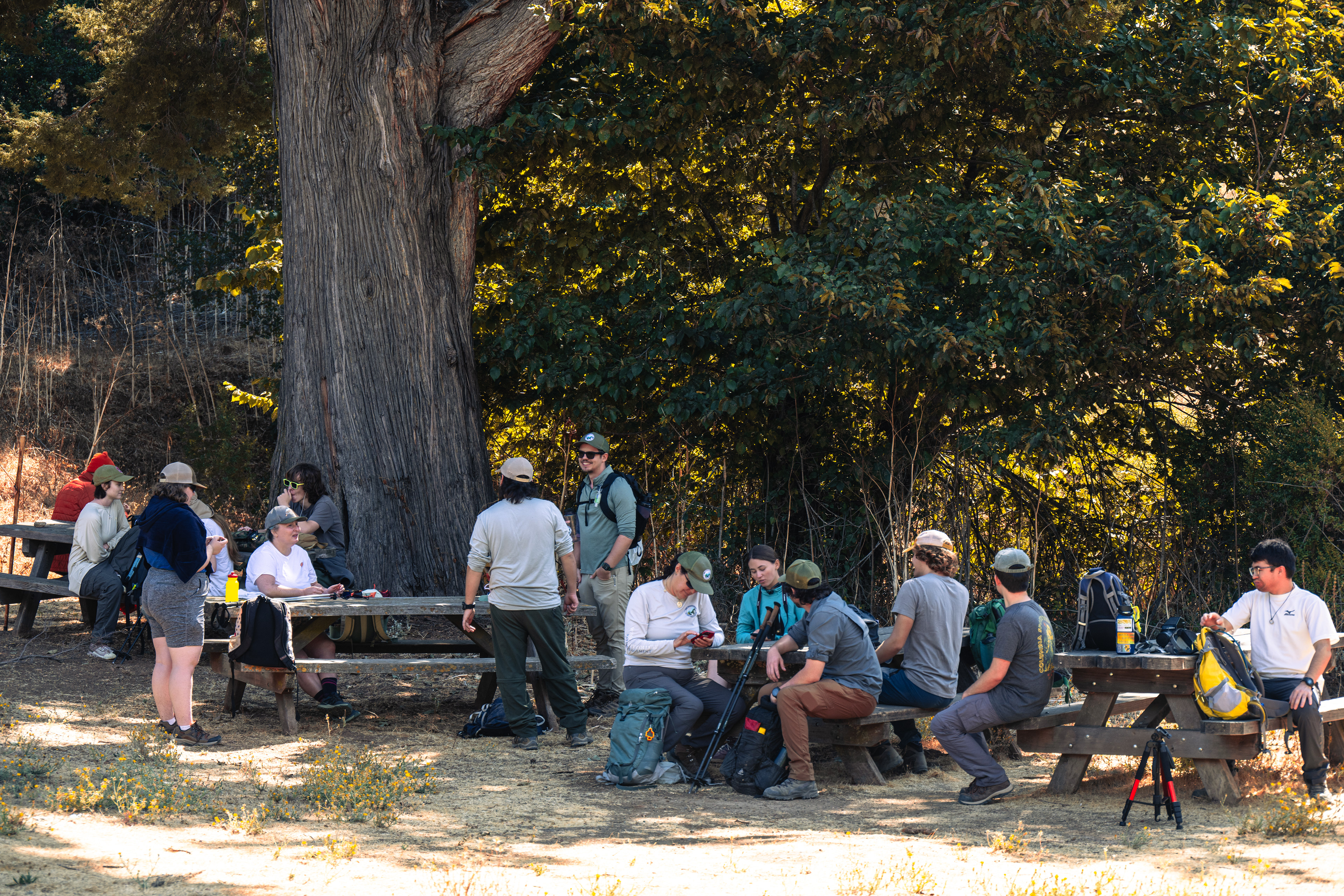 Lunch at English Camp