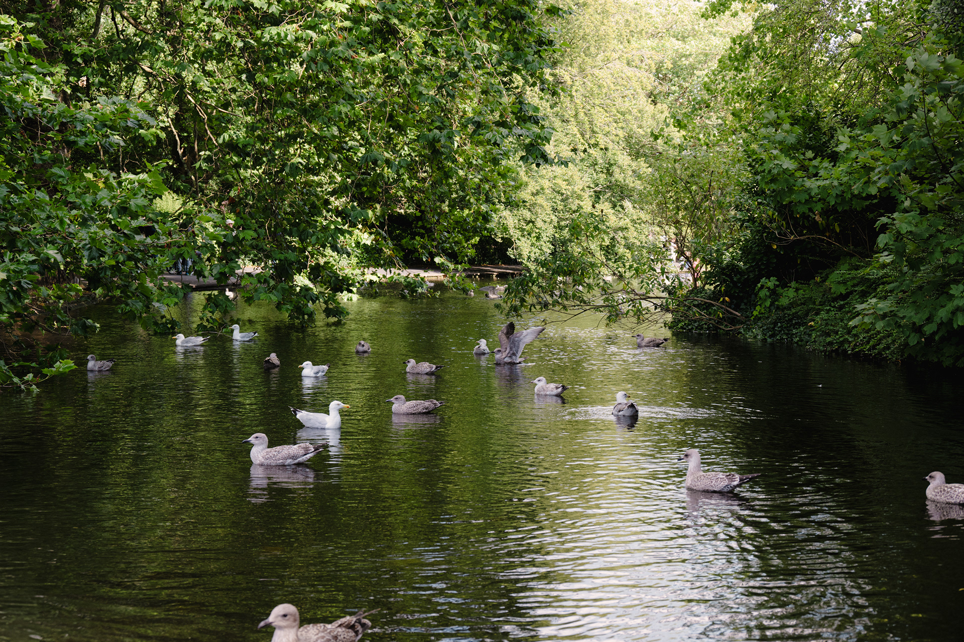 Dublin City Walk - St Stephen's Green
