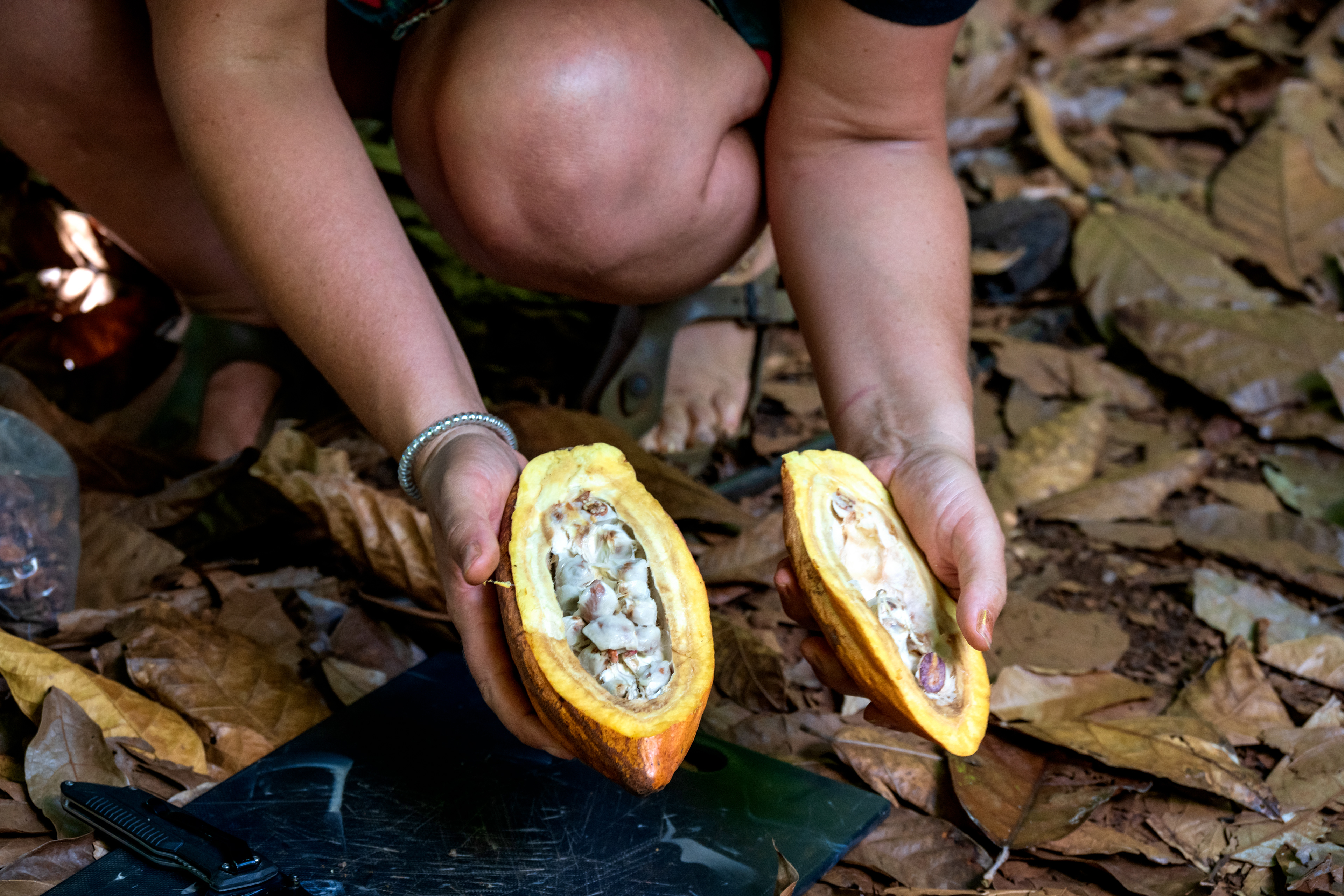 Inside Cacao