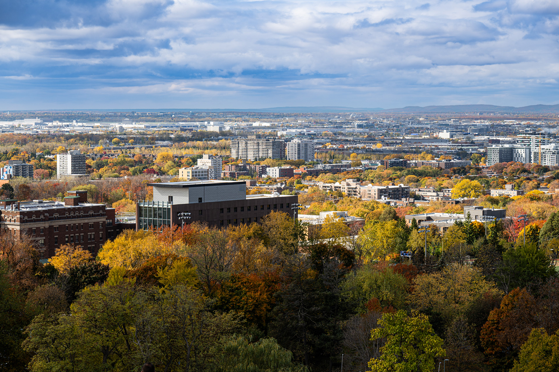 Montreal Fall Color