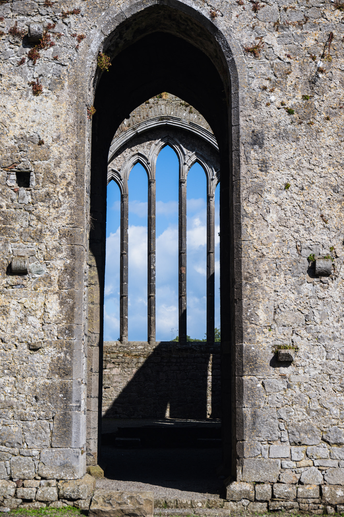 Kilmallock Dominican Priory