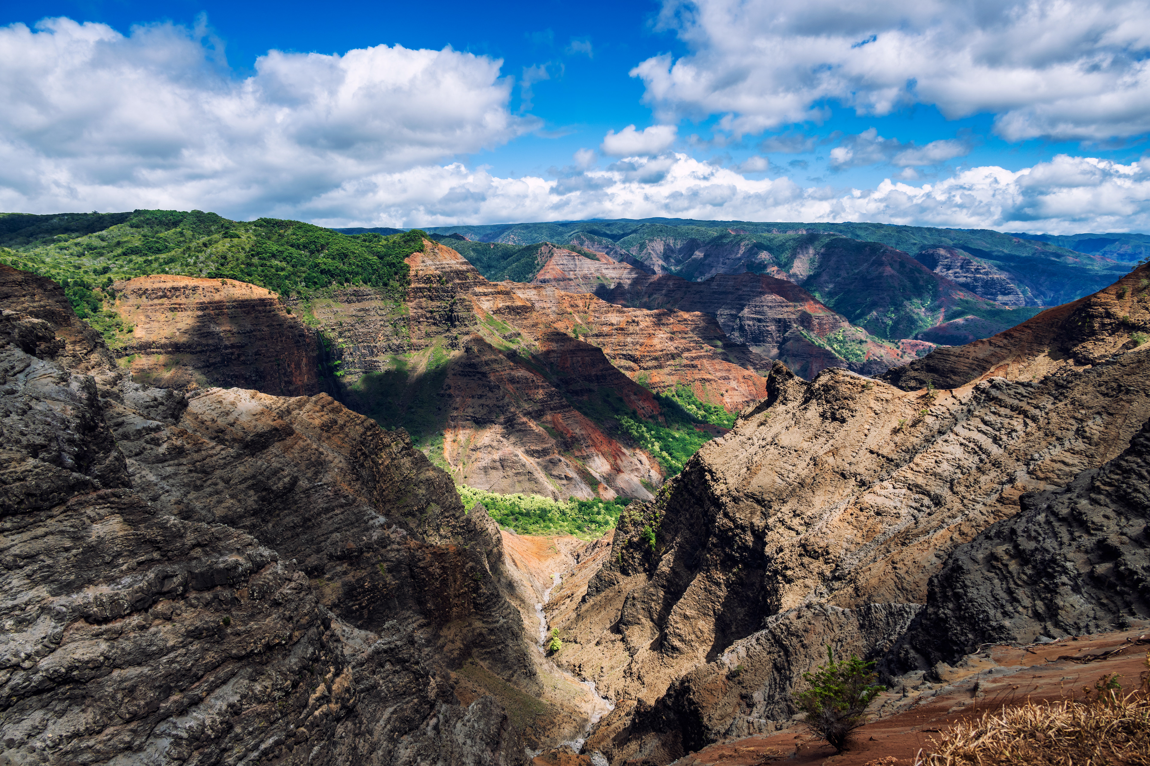 Waimea Cayon
