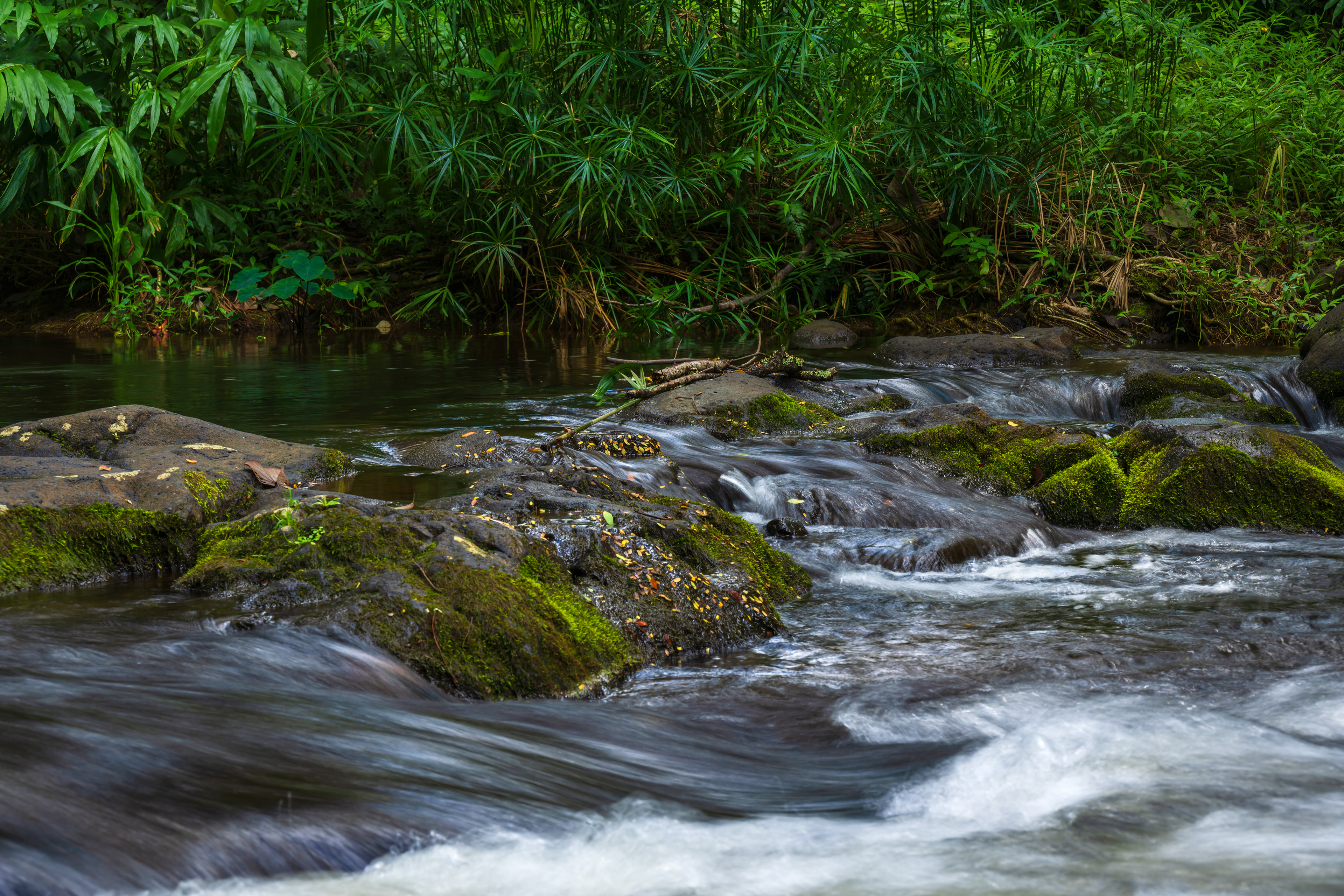 Creek