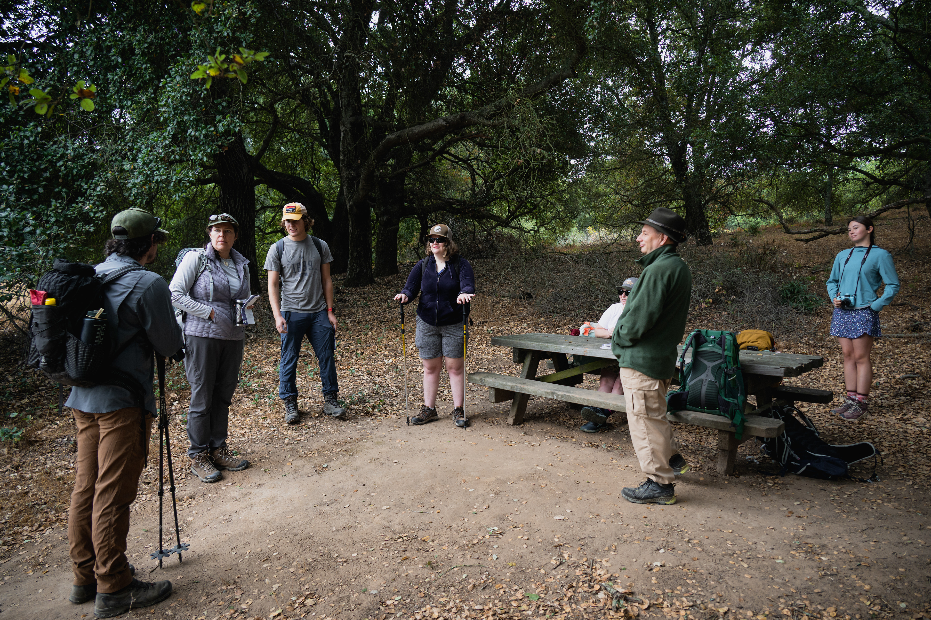 Wood Road Trailhead