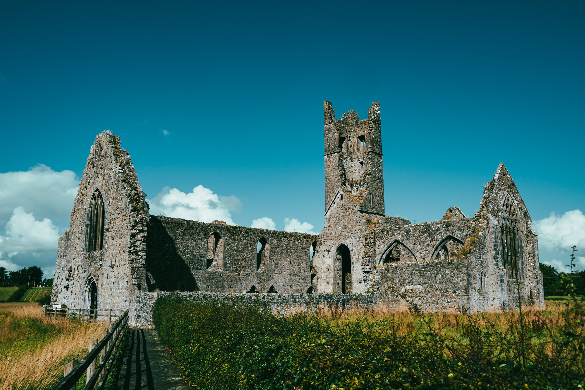 Kilmallock Dominican Priory