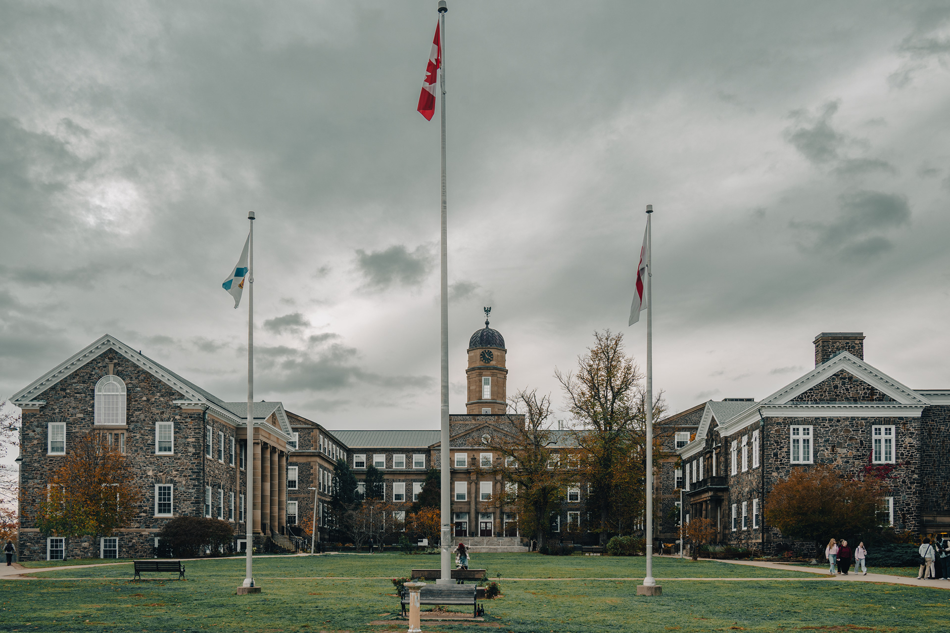 Dalhousie University