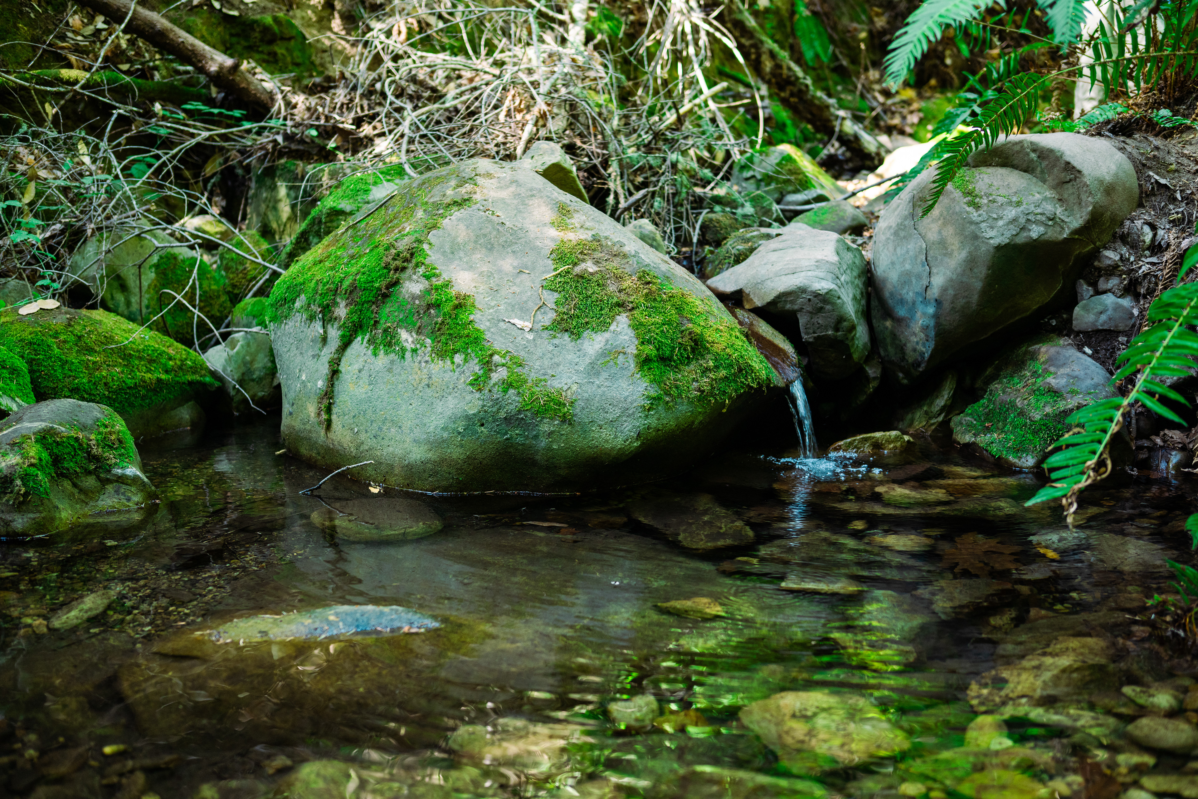 Our water source