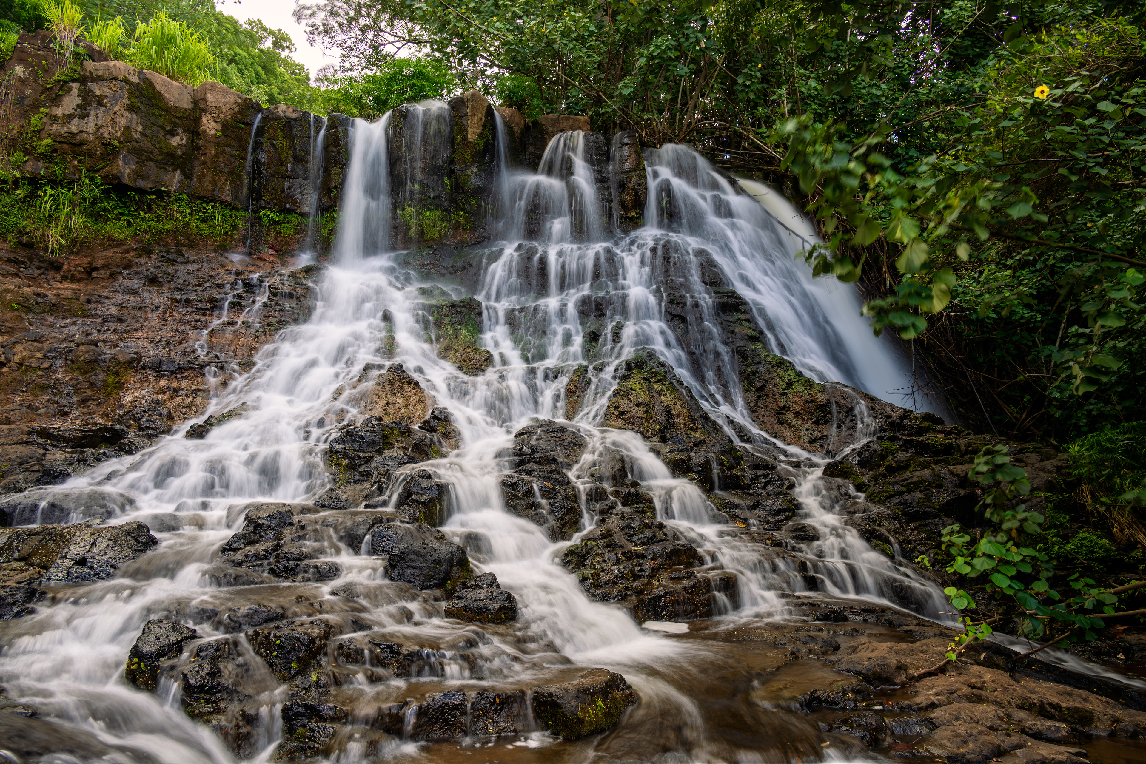 Lower Hoopii Falls