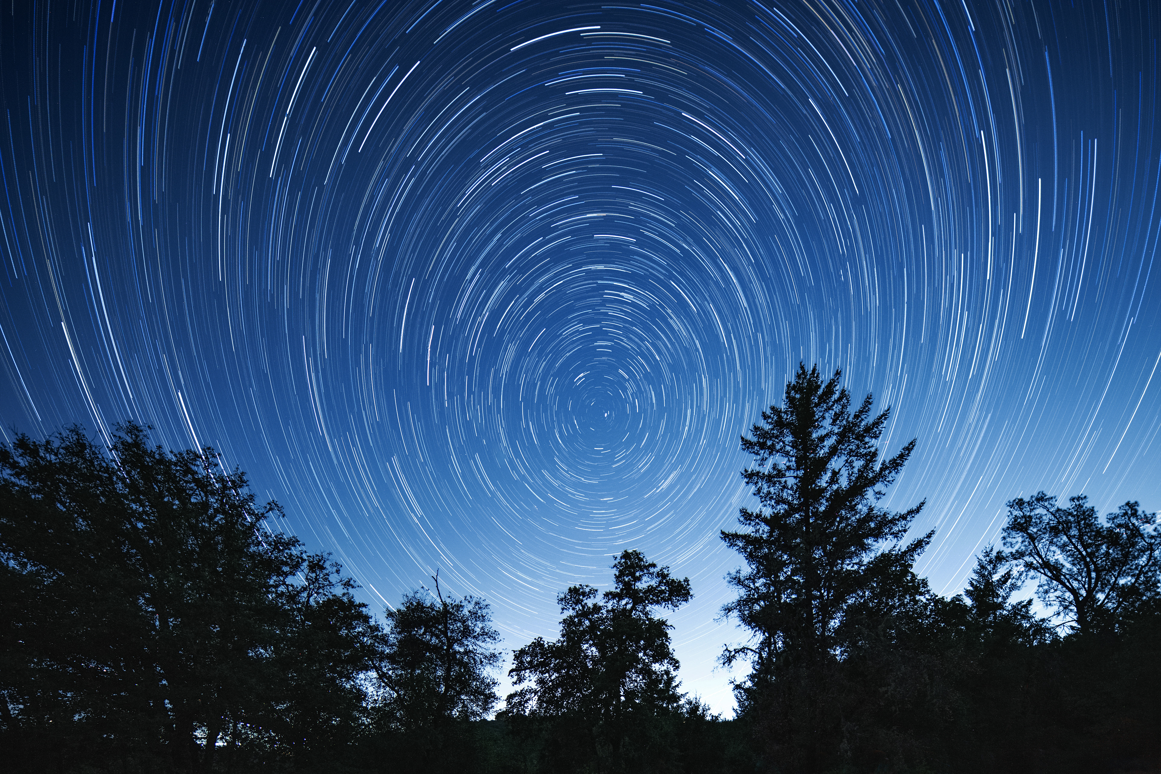 Star Trail 