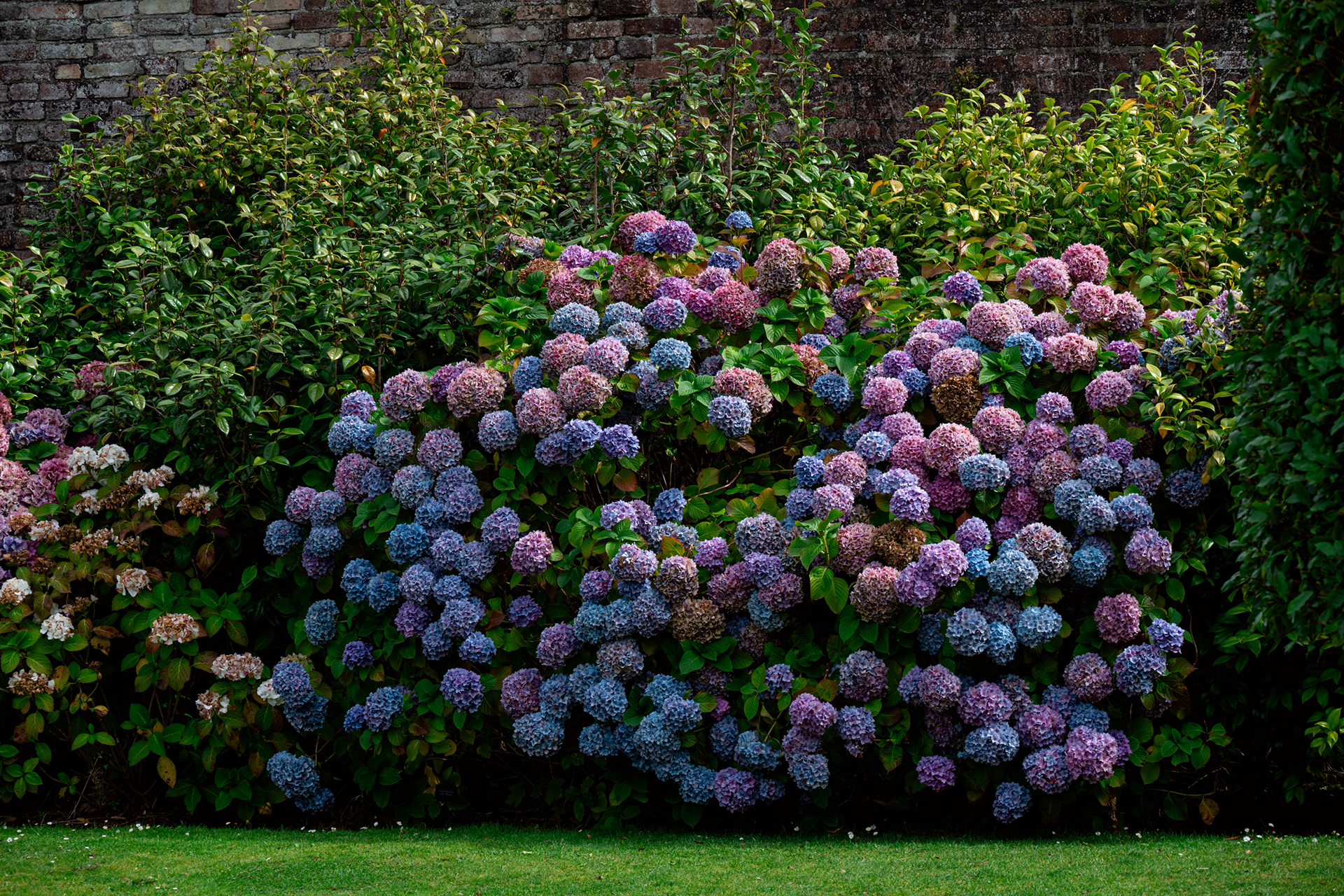 Powerscourt Estate, House & Gardens