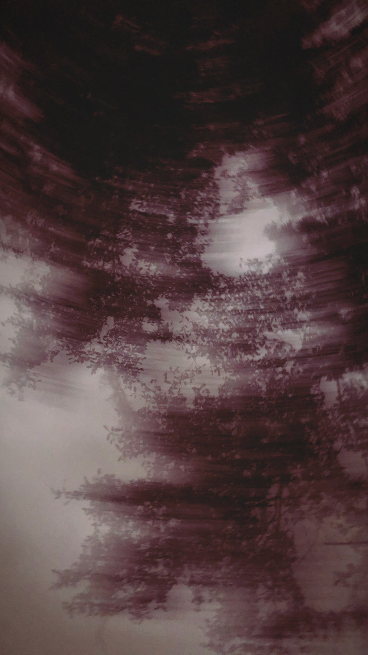 drizzly sprint under a canopy of trees (2021)