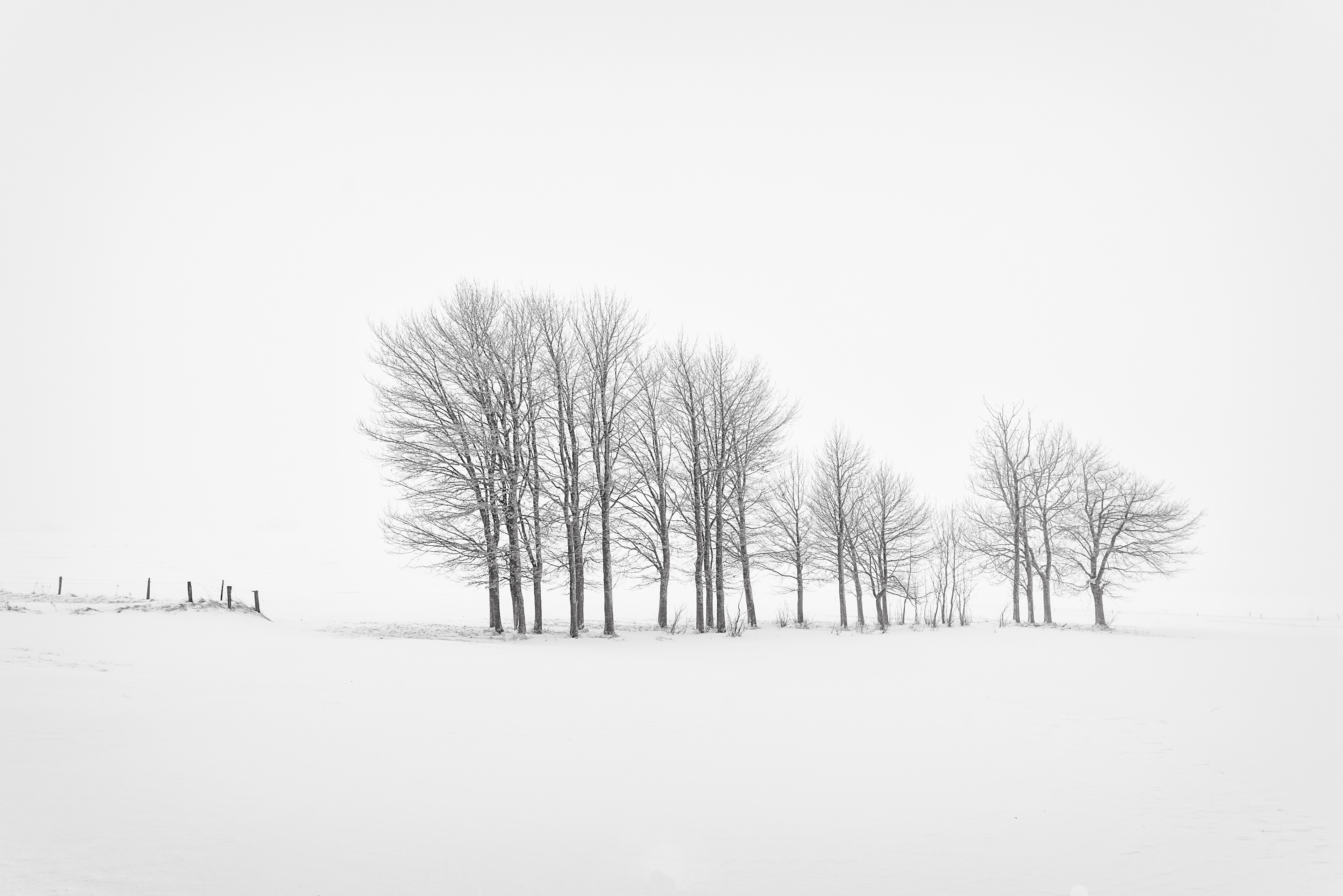 Image récompensée par le 3ème prix du jury  lors des parenthèses photo de Champdieu
