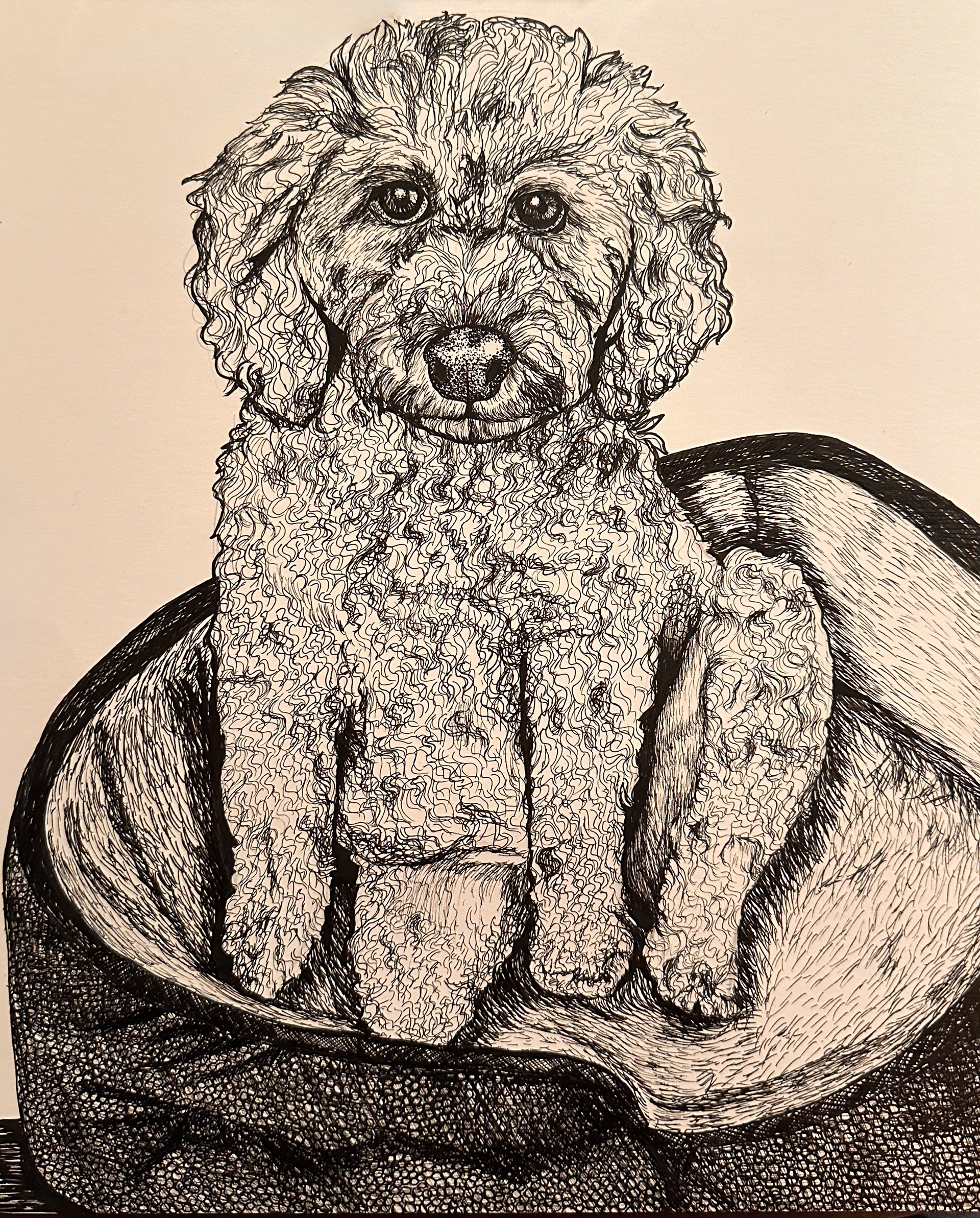 Draw Me Like One of Your French Dogs