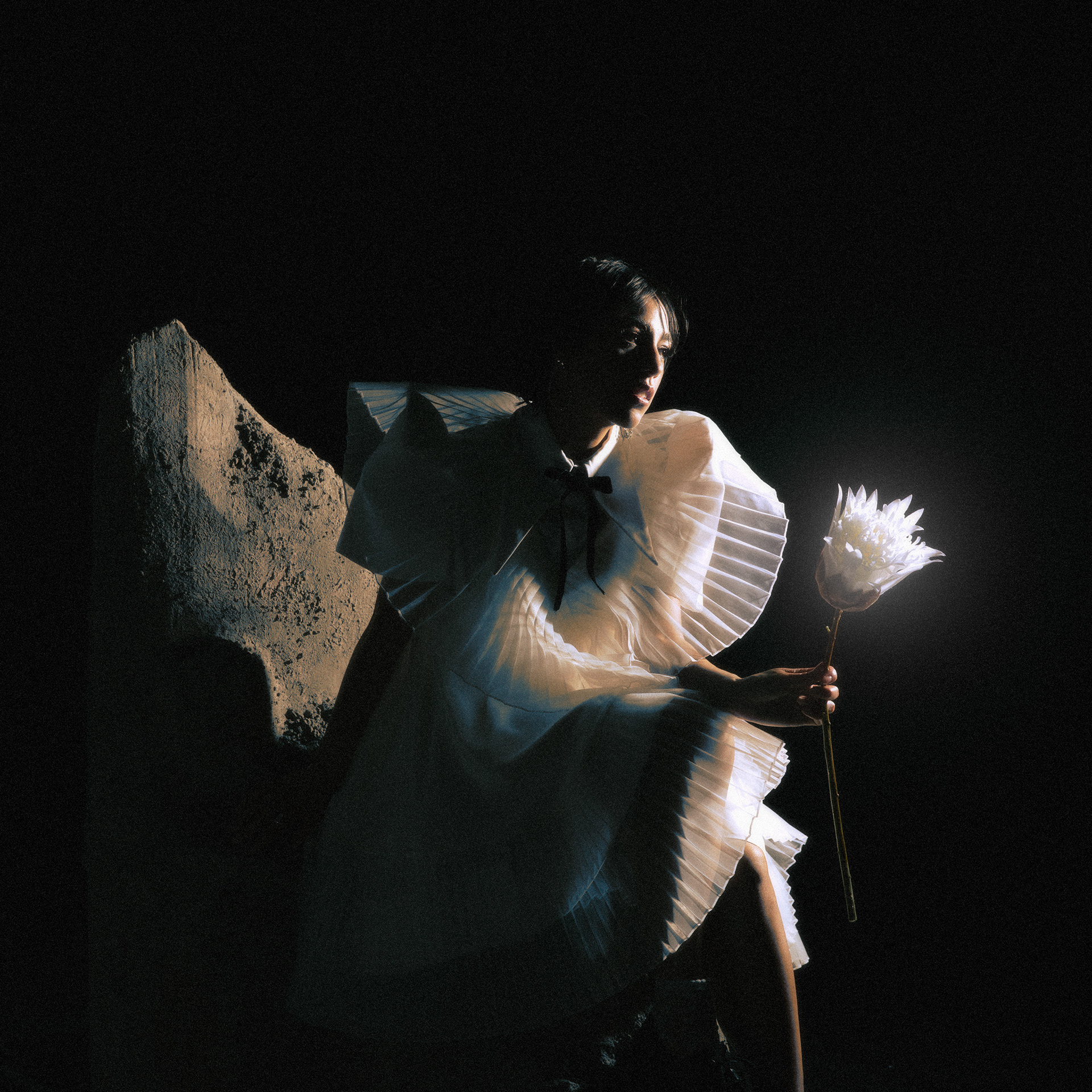 "Time is a Flower" / Telenova