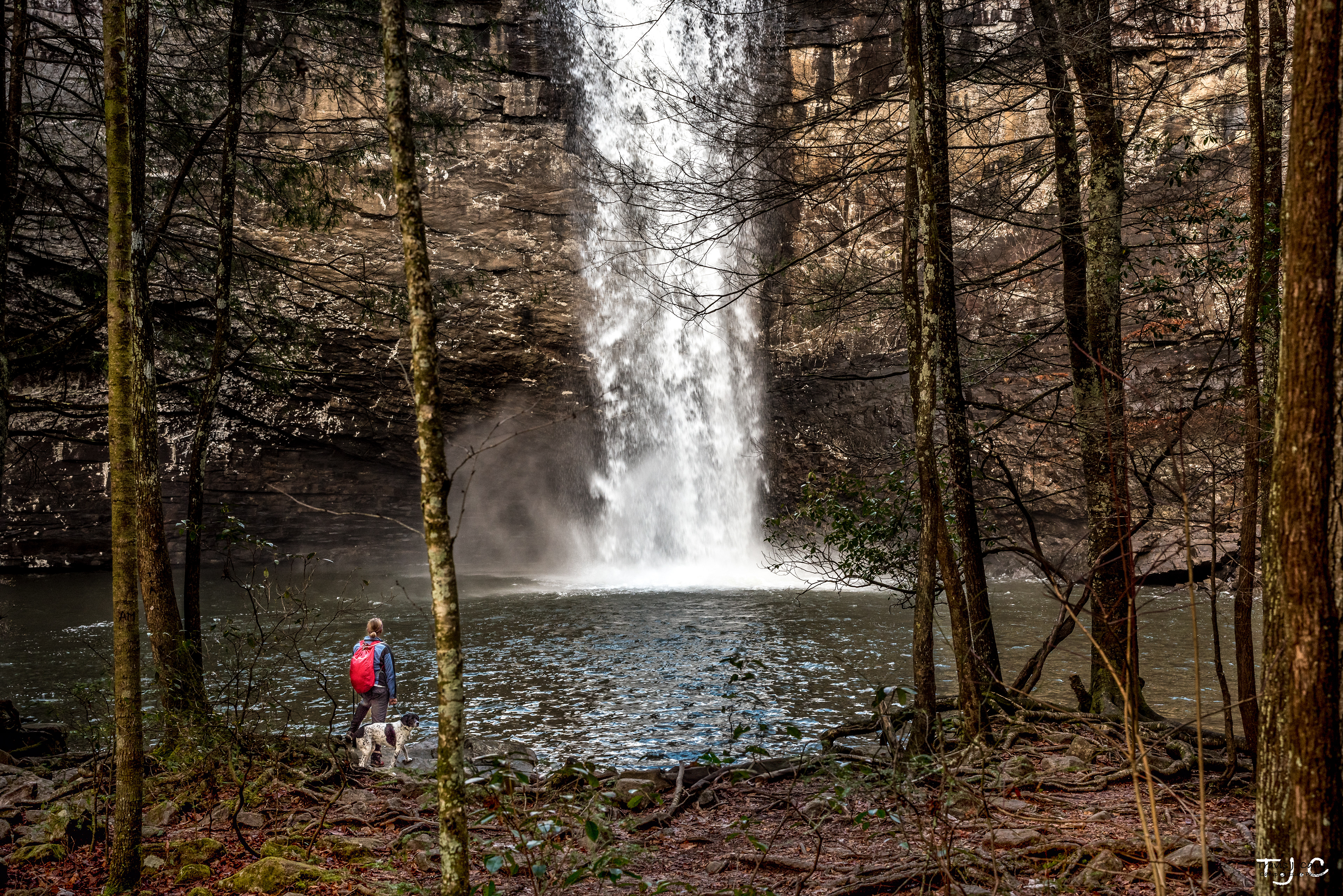 Foster Falls