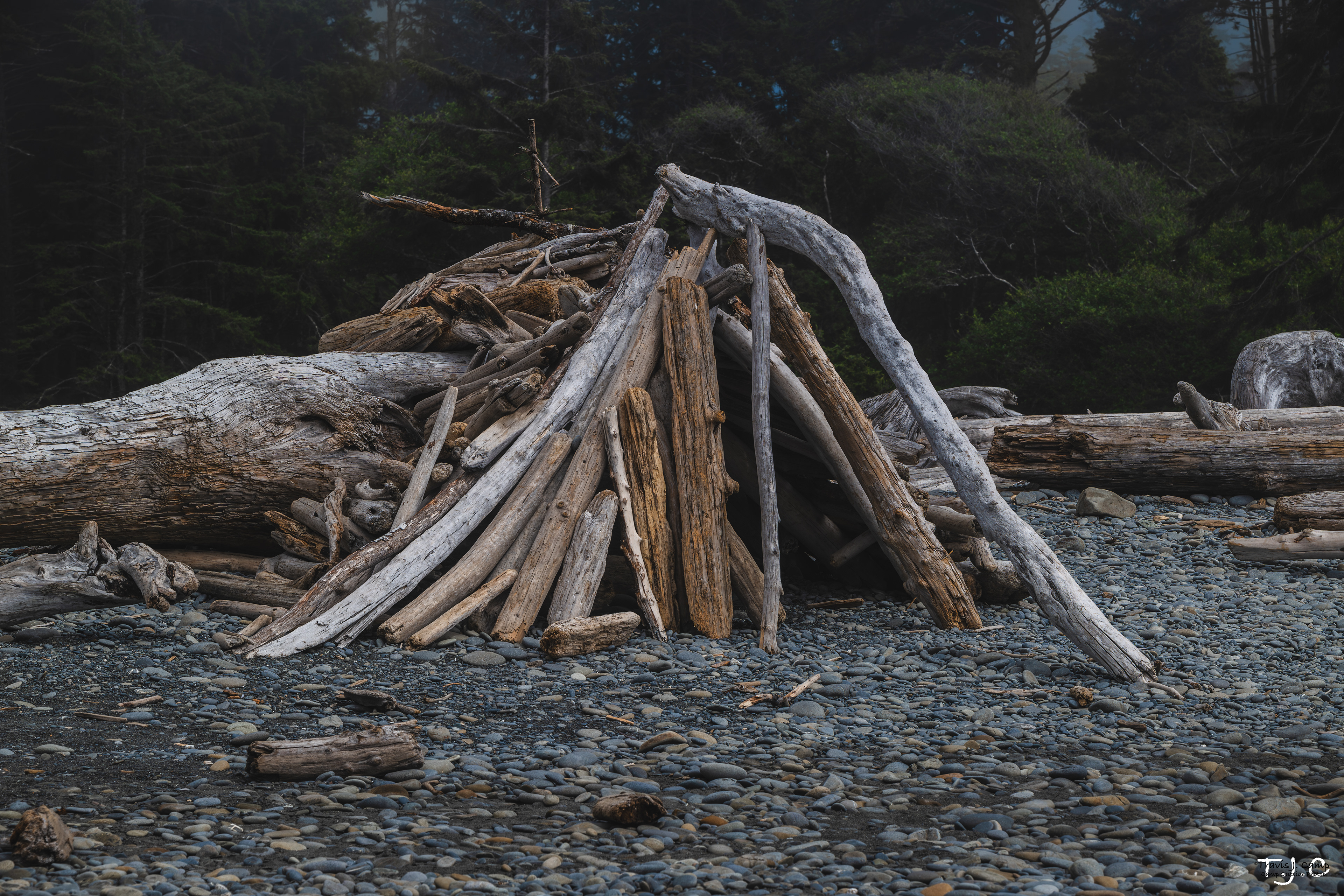 Olympic National Park - Washington 