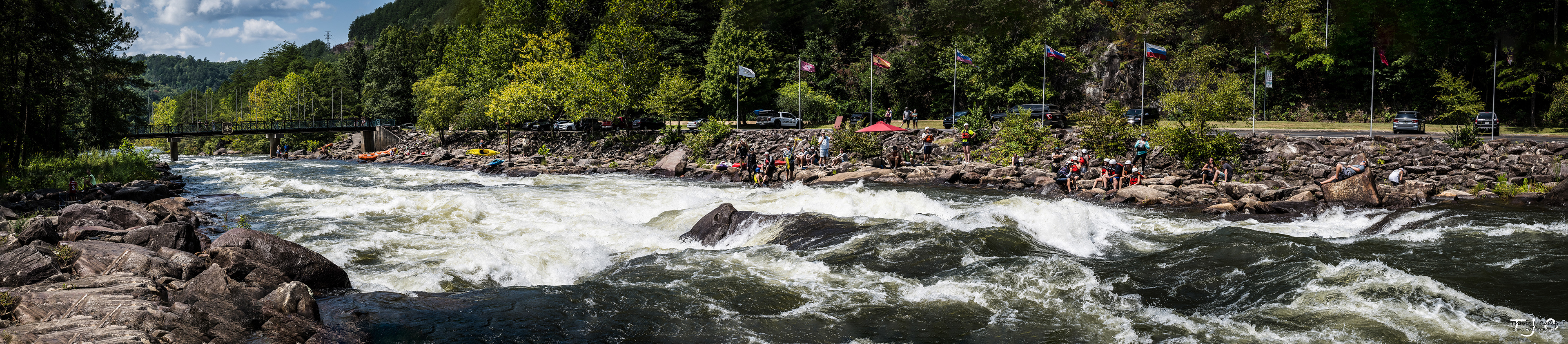 The Olympic Section - Humongous Rapid