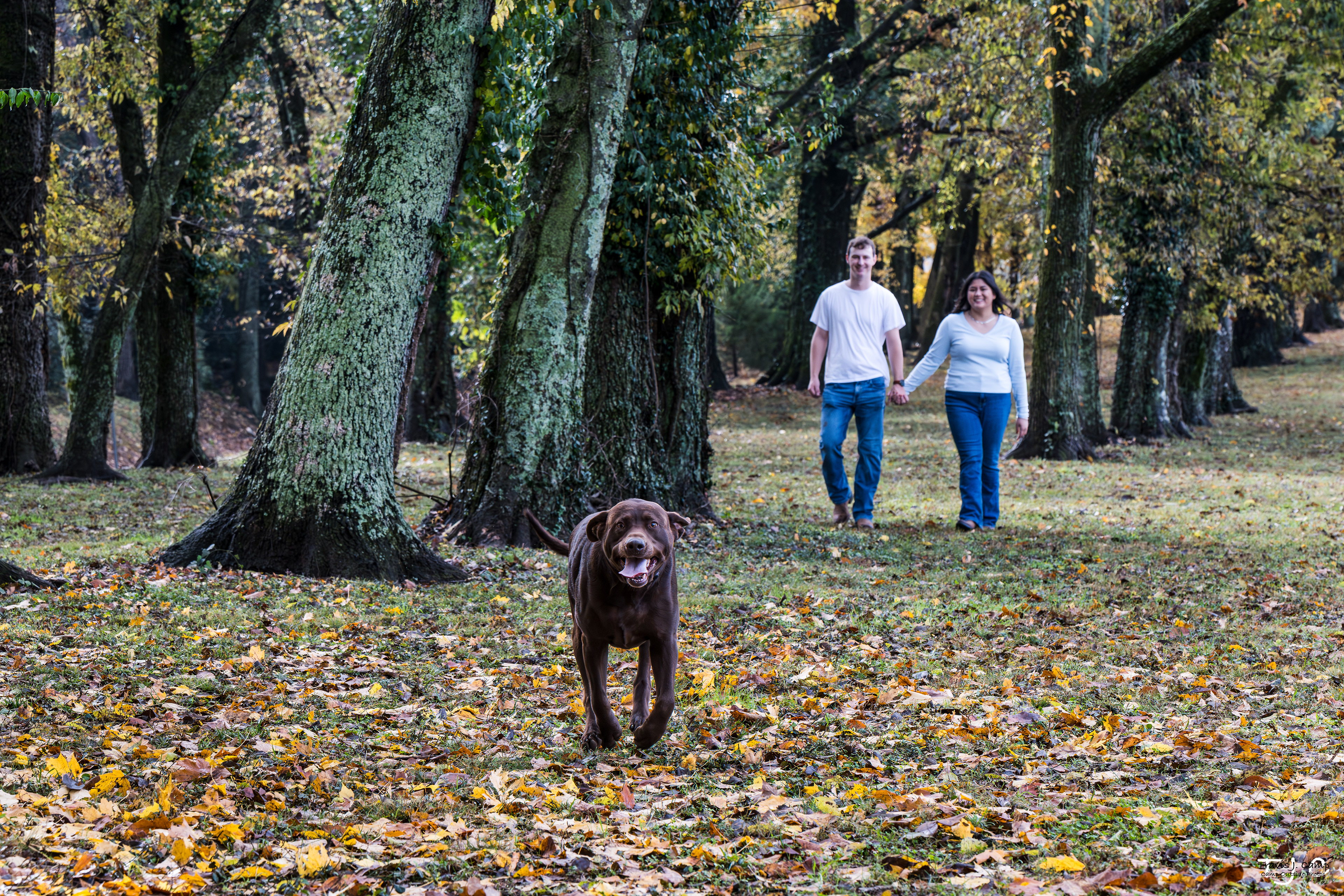 The Steps of the Alee - Couple Session