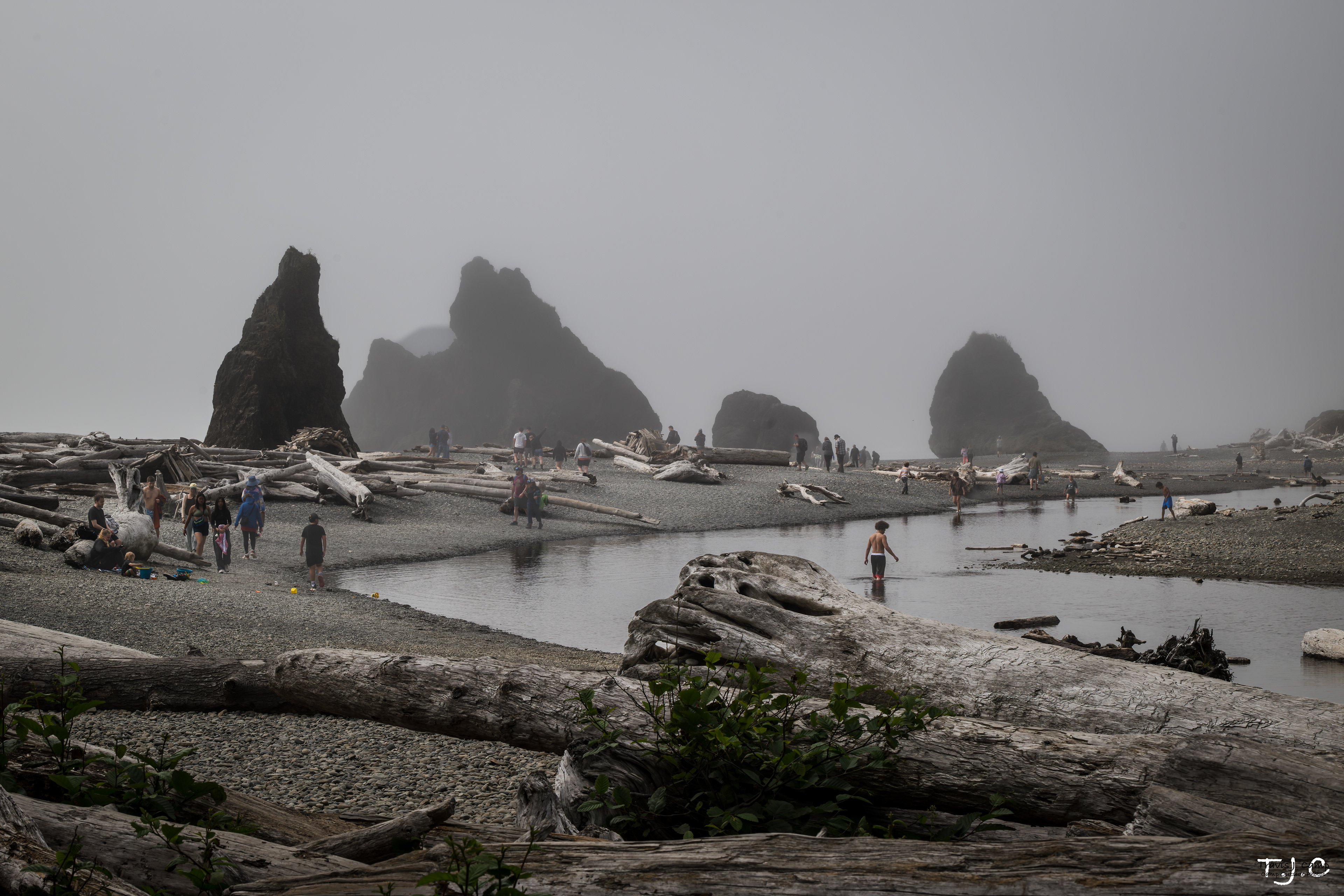 Olympic National Park, Washington