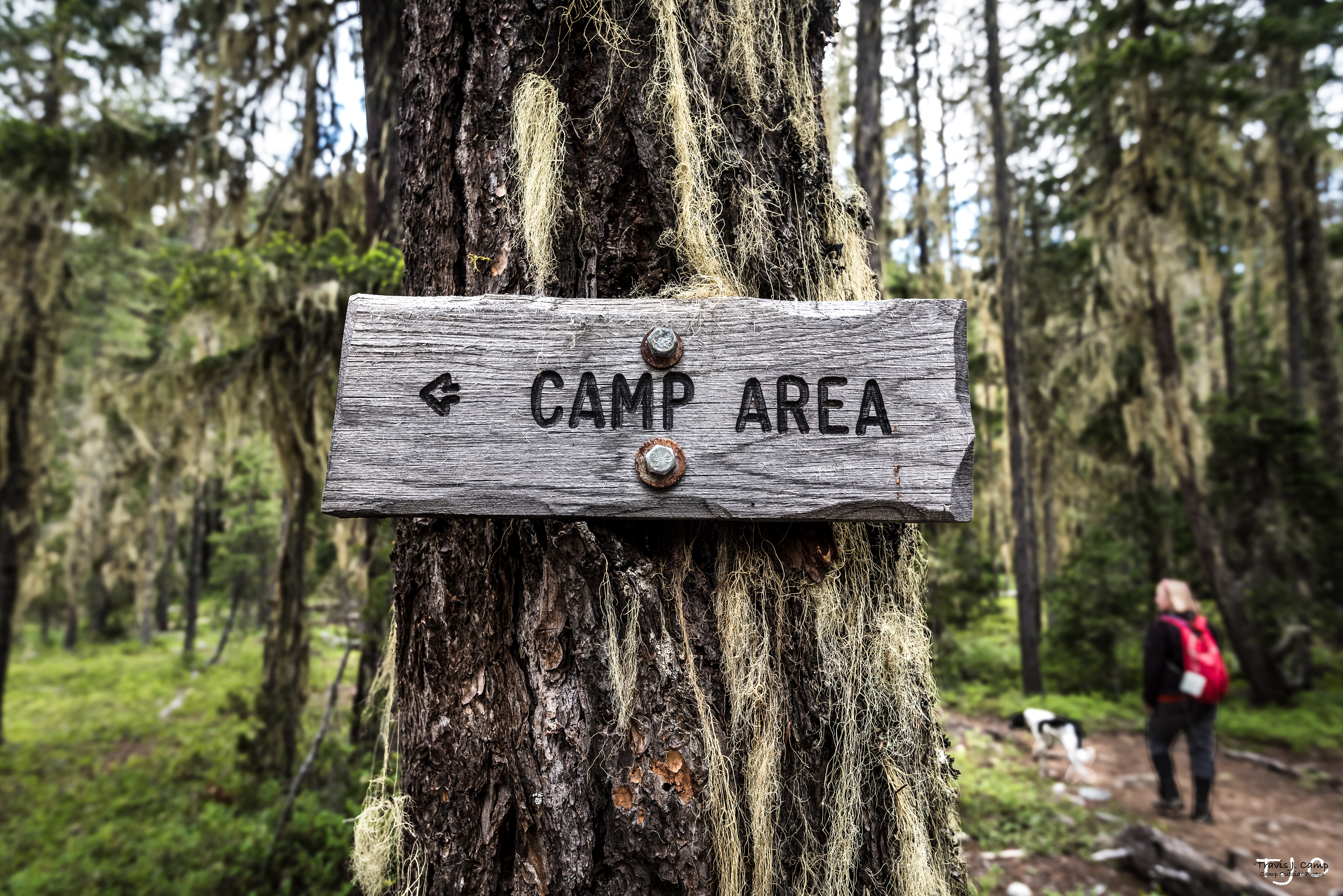 Icicle Creek Trail Alpine Wilderness, Washington 