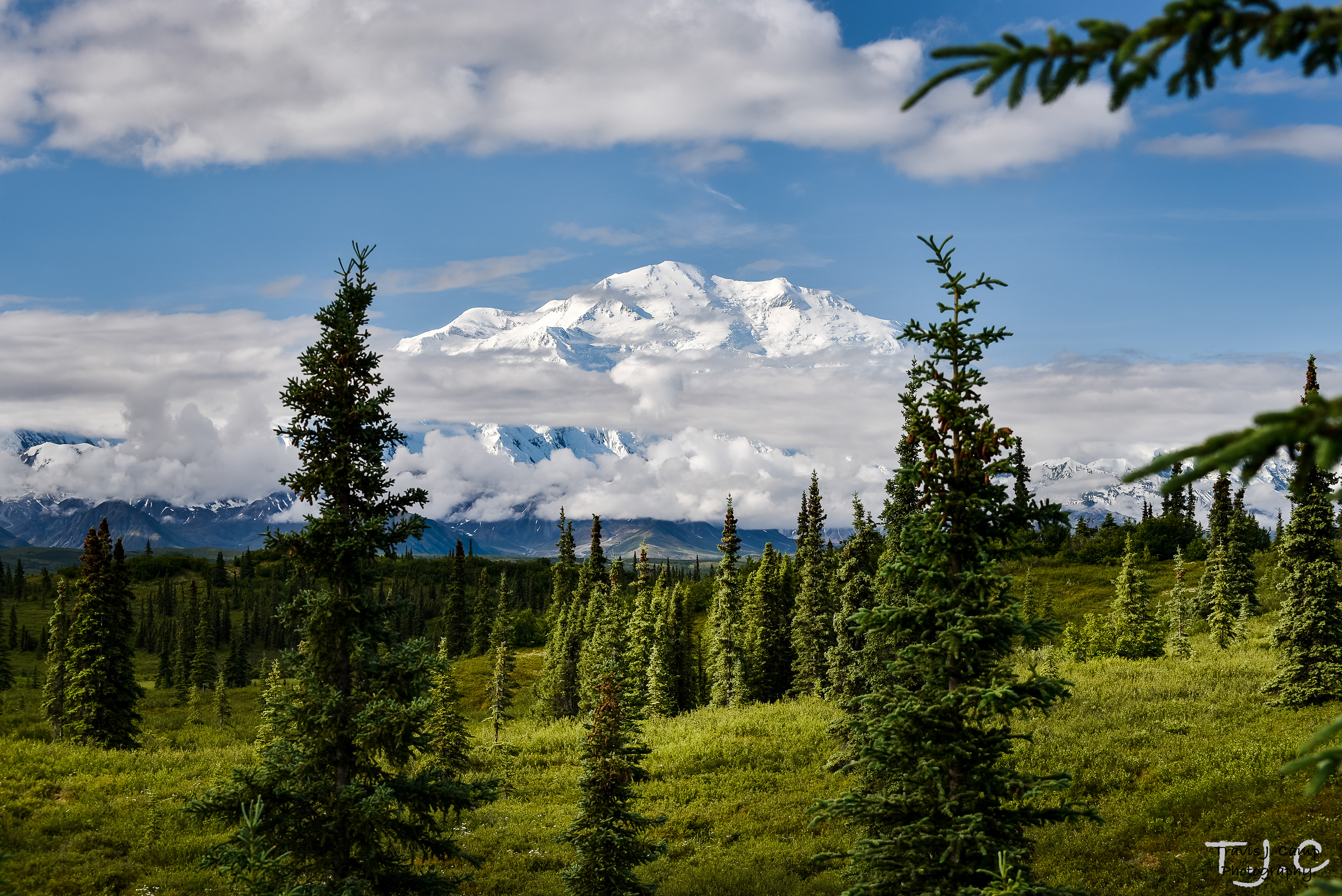 Denali National Park