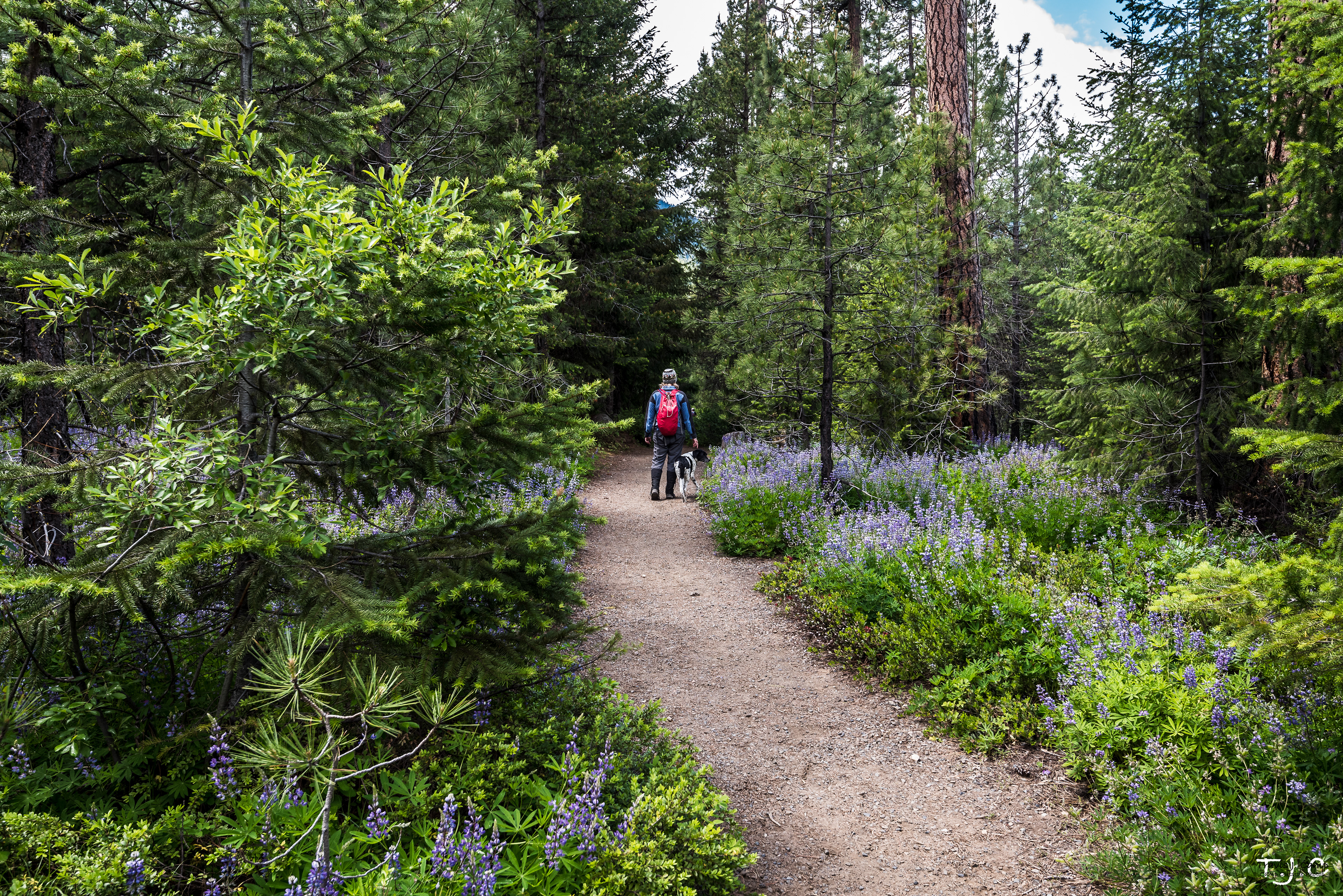  Icicle Creek Trail - Alpine Wilderness - Washington 