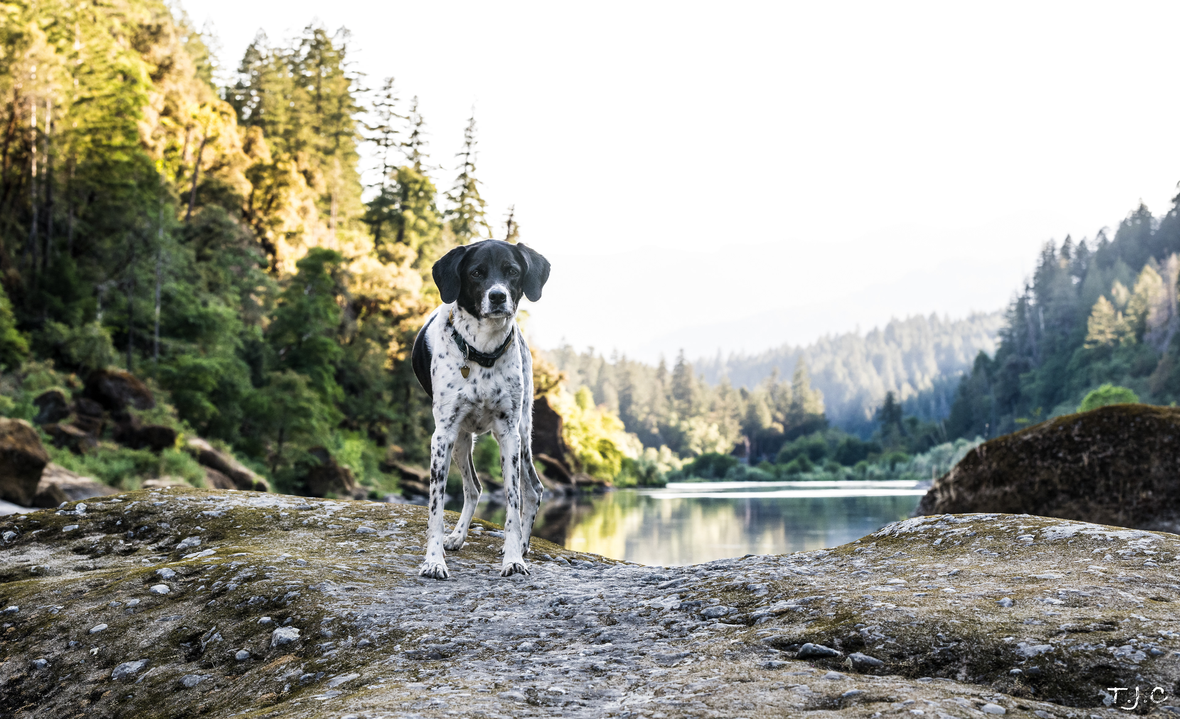 Coee Rafts the Wild and Scenic Rogue River