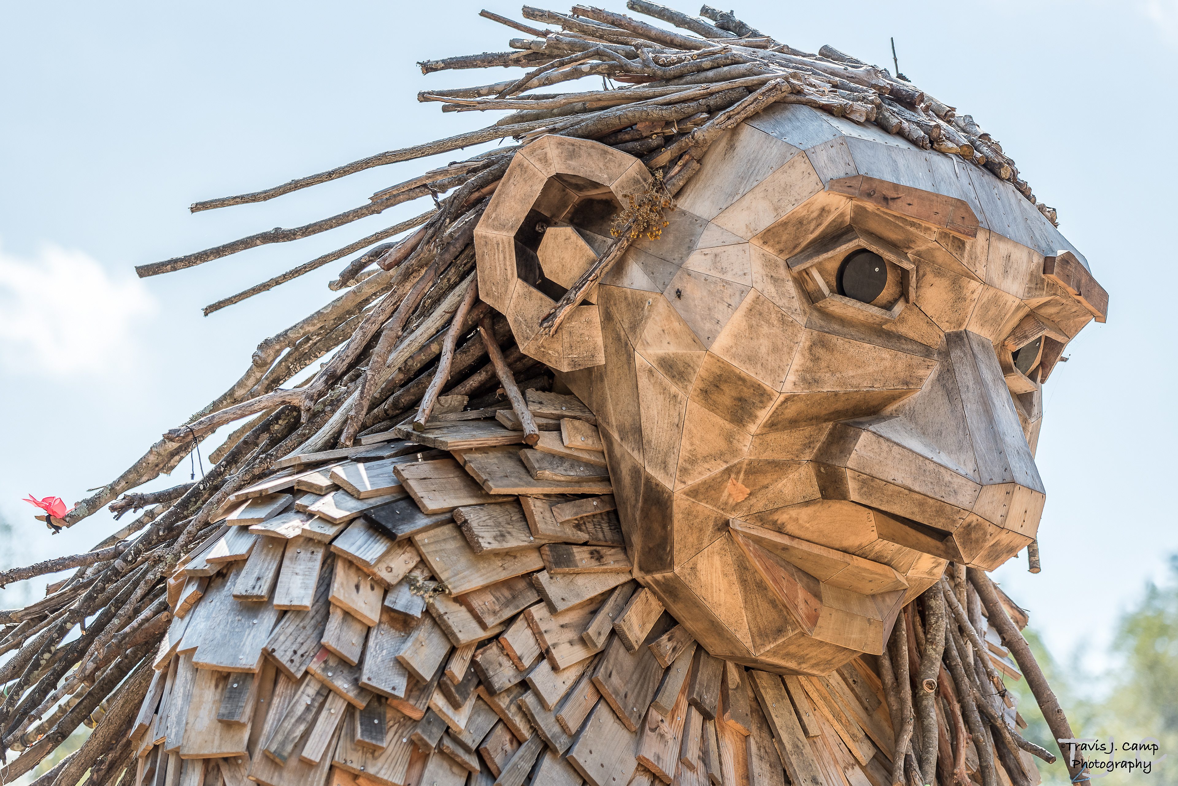 Thomas Dambo's Bernheim Forest Giants