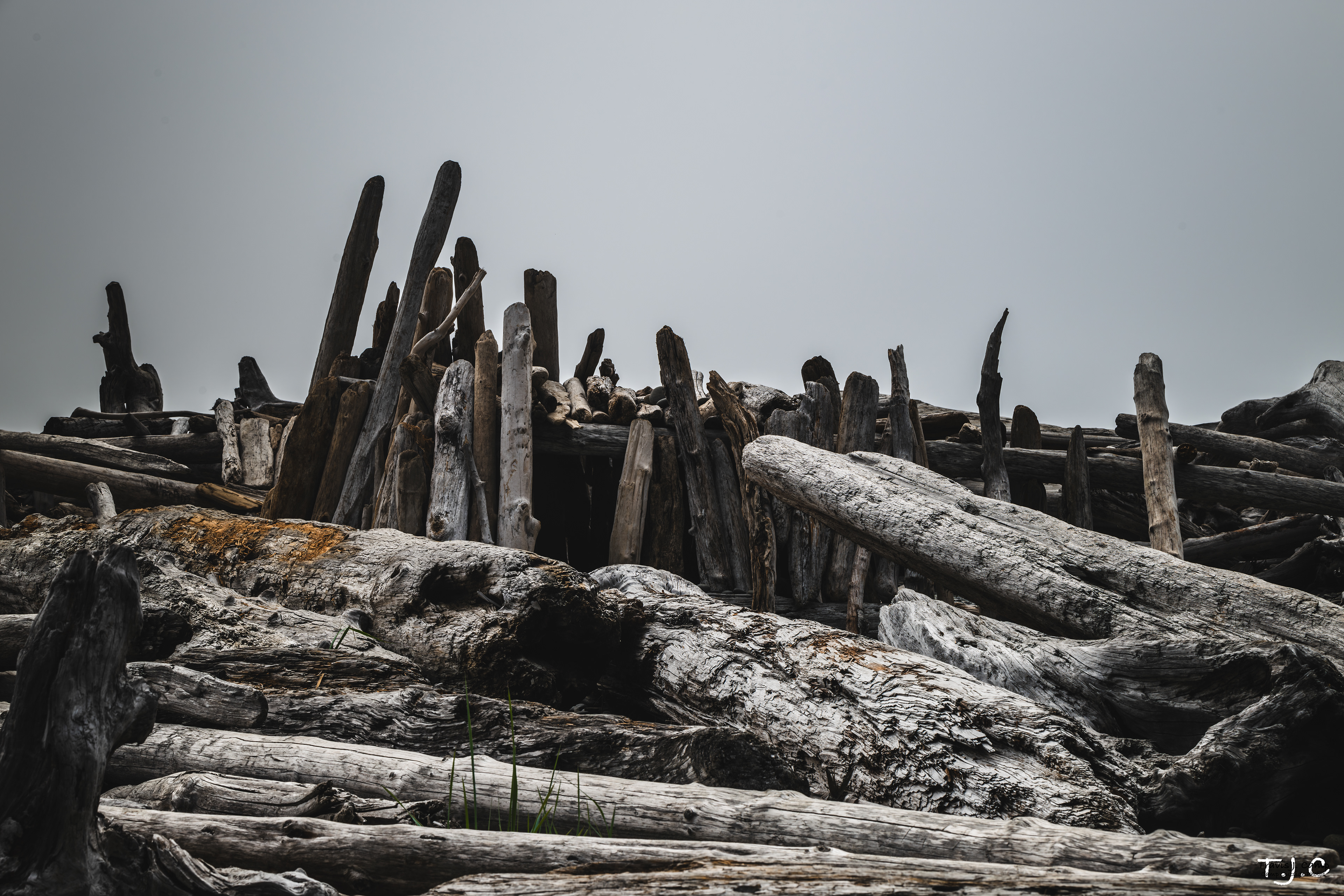 Olympic National Park. Washington