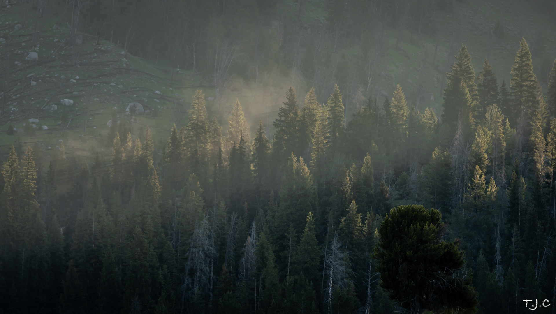 Wyoming