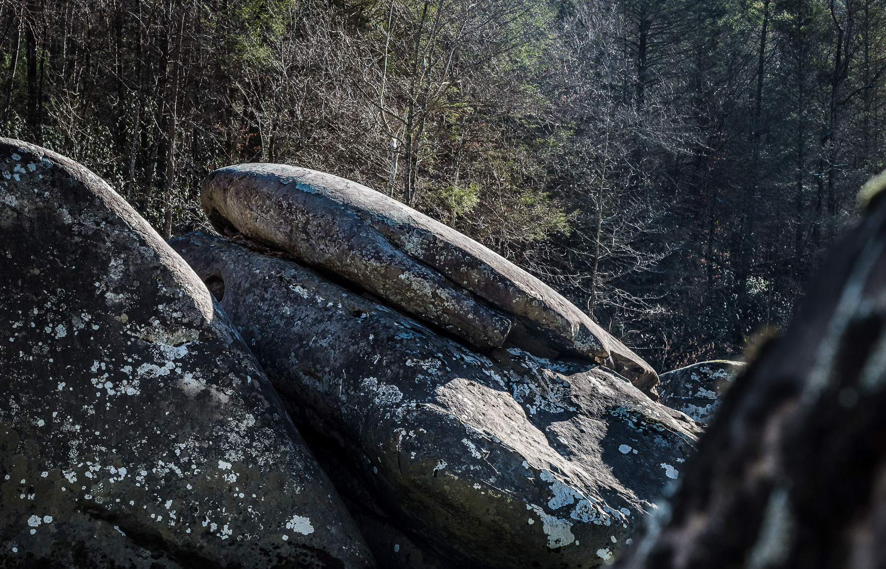 21. The Hand of God Formation in the Big South Fork 