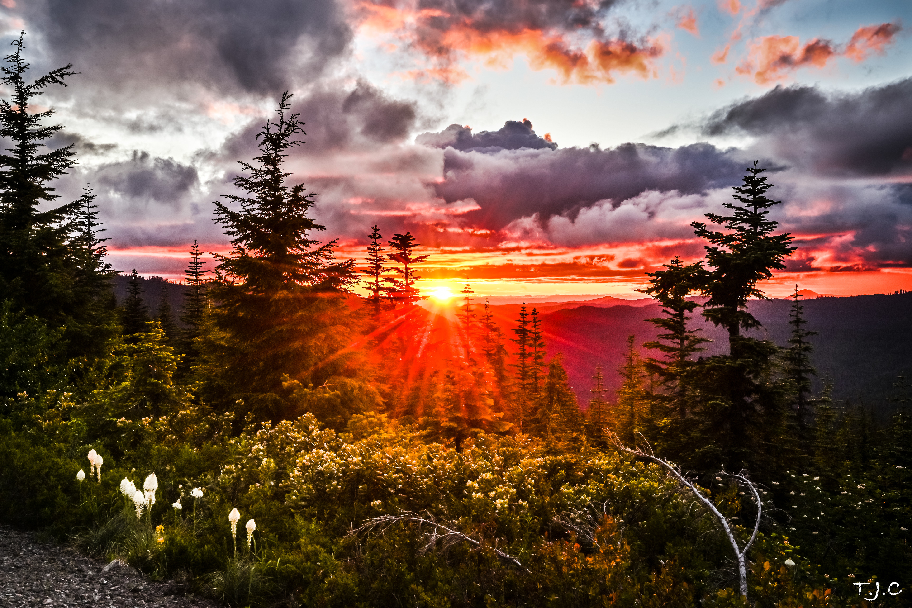 Grass Mountain, Oregon
