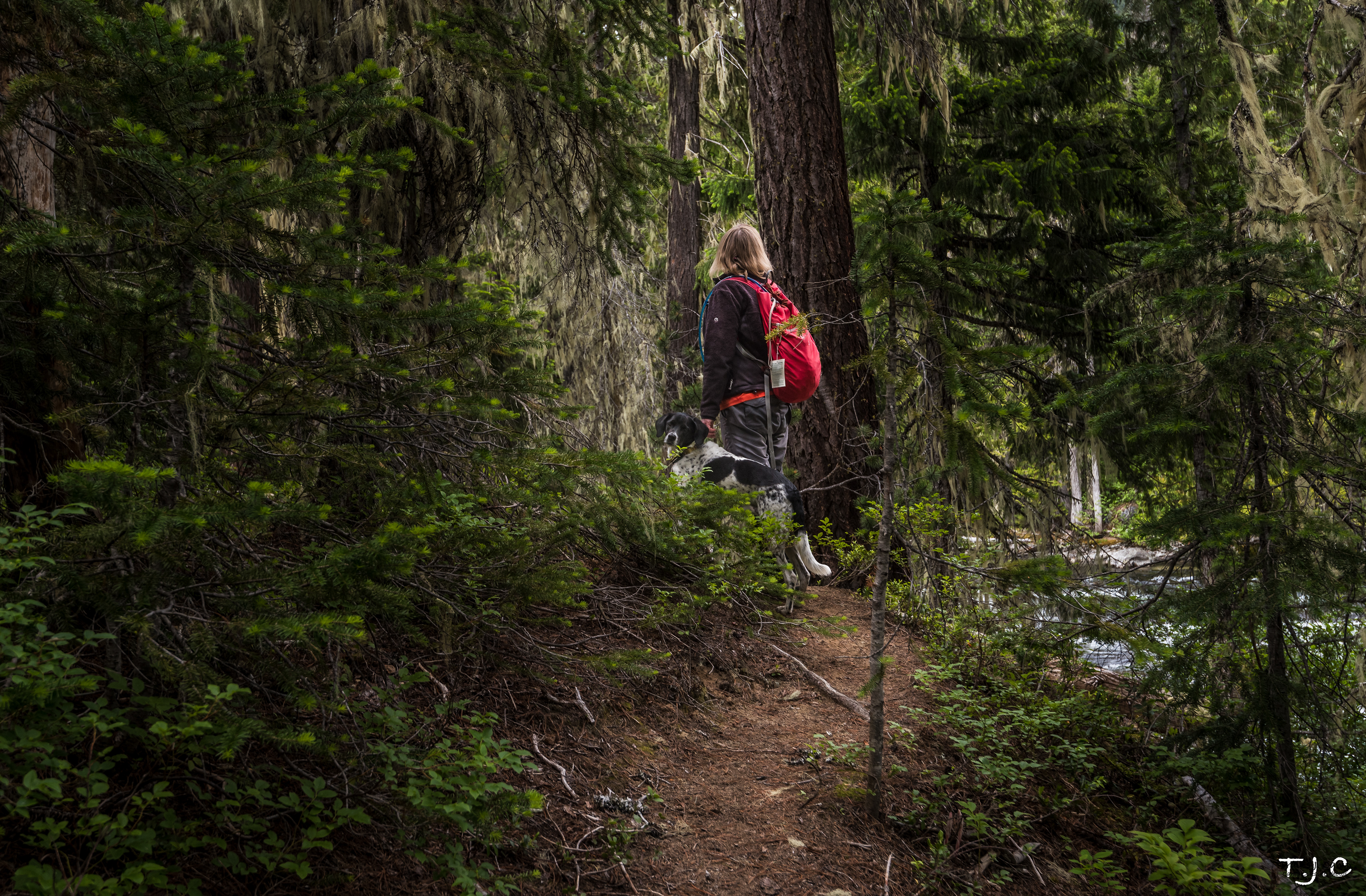  Icicle Creek Trail - Alpine Wilderness - Washington 